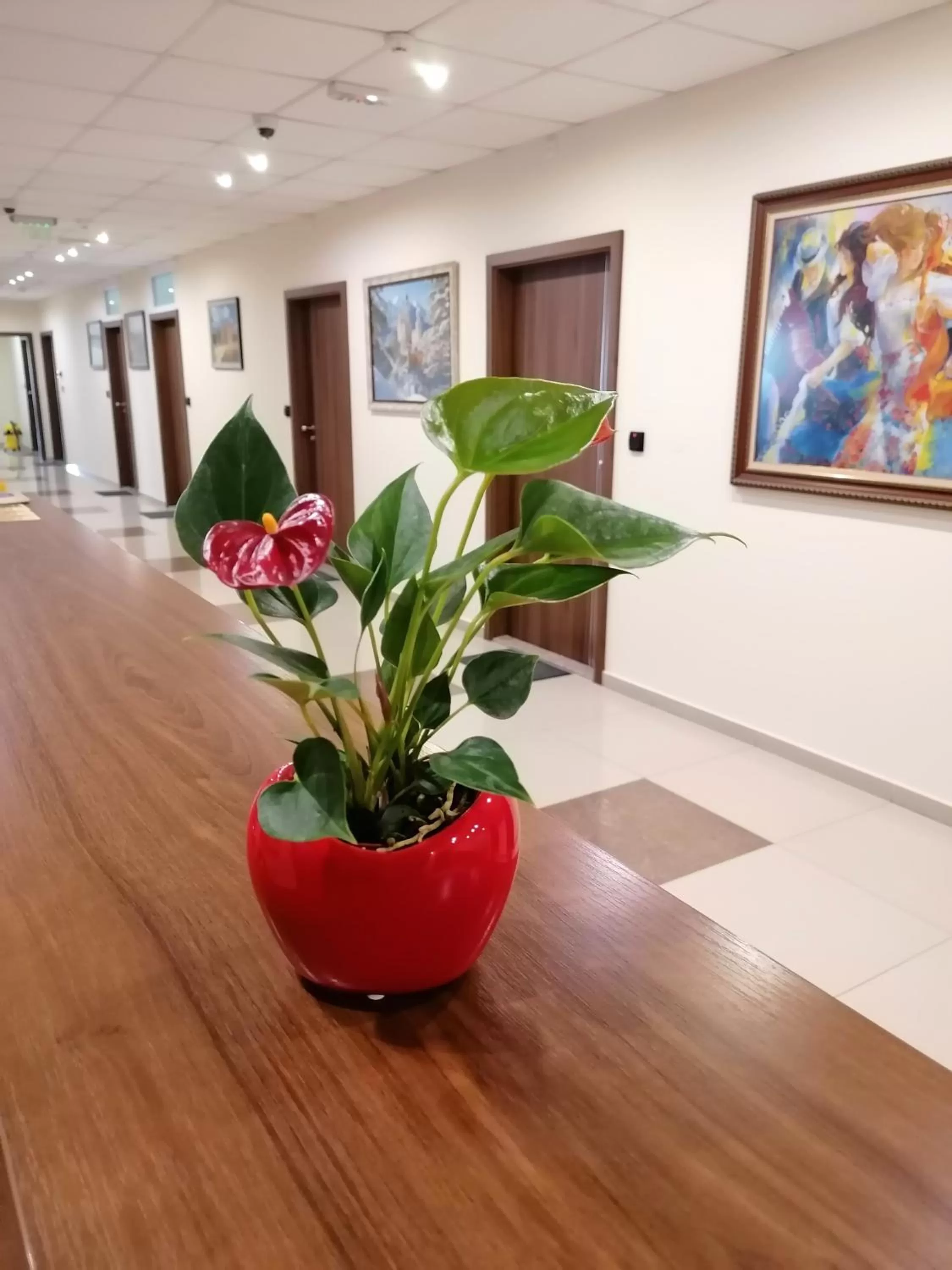 Lobby or reception in Hotel Lago Peshtera