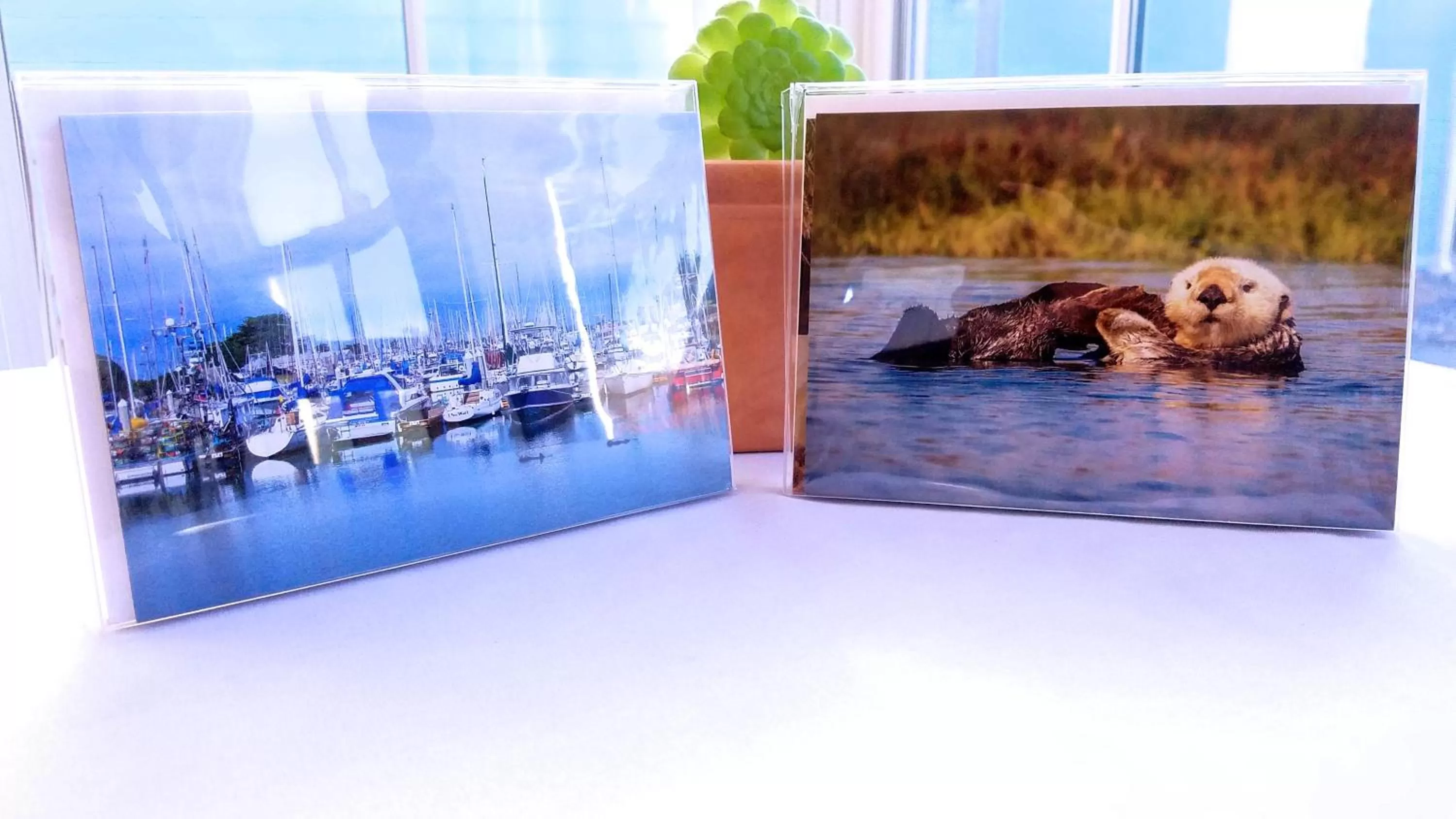 Other in Captain's Inn at Moss Landing