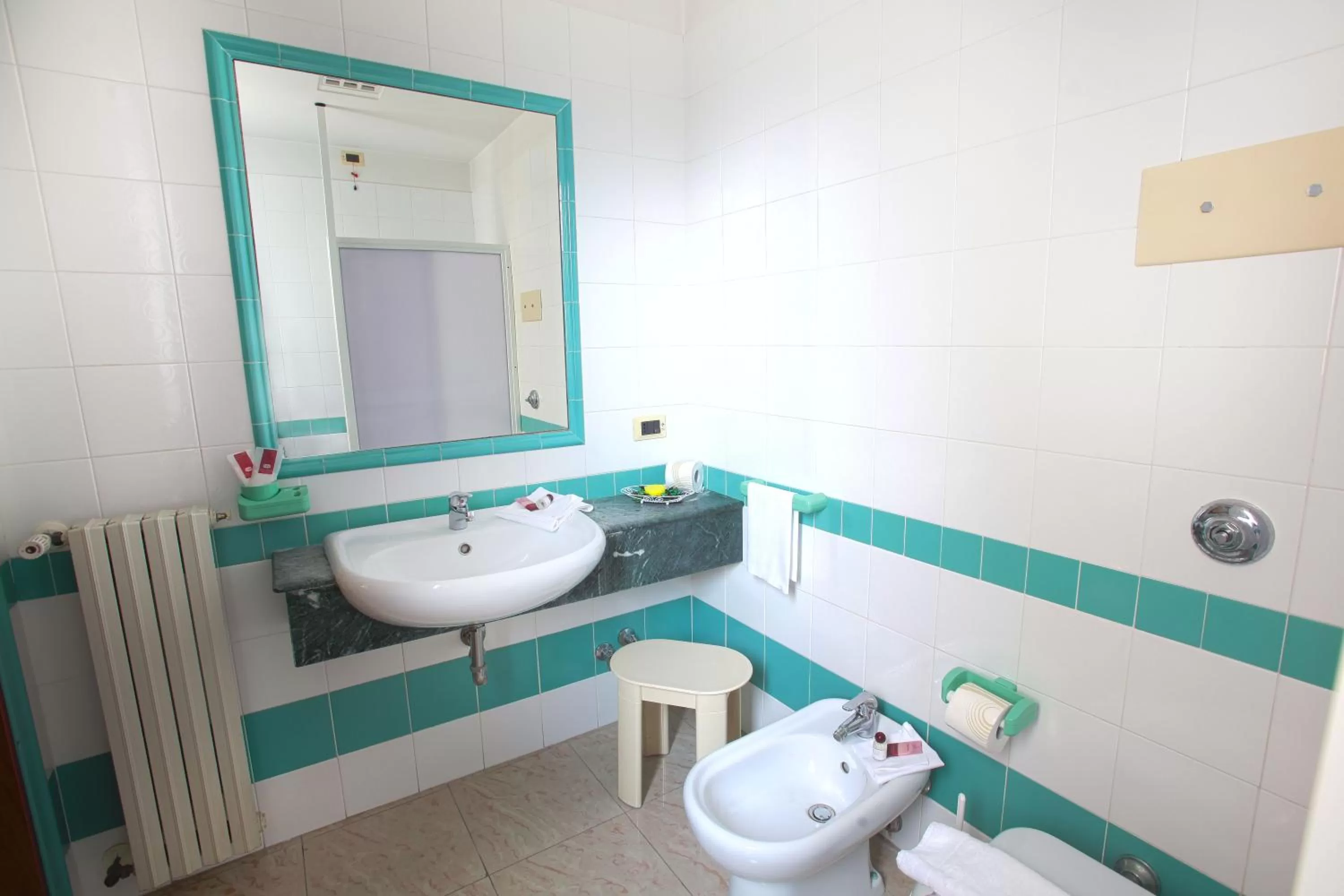 Toilet in Hotel Kroma