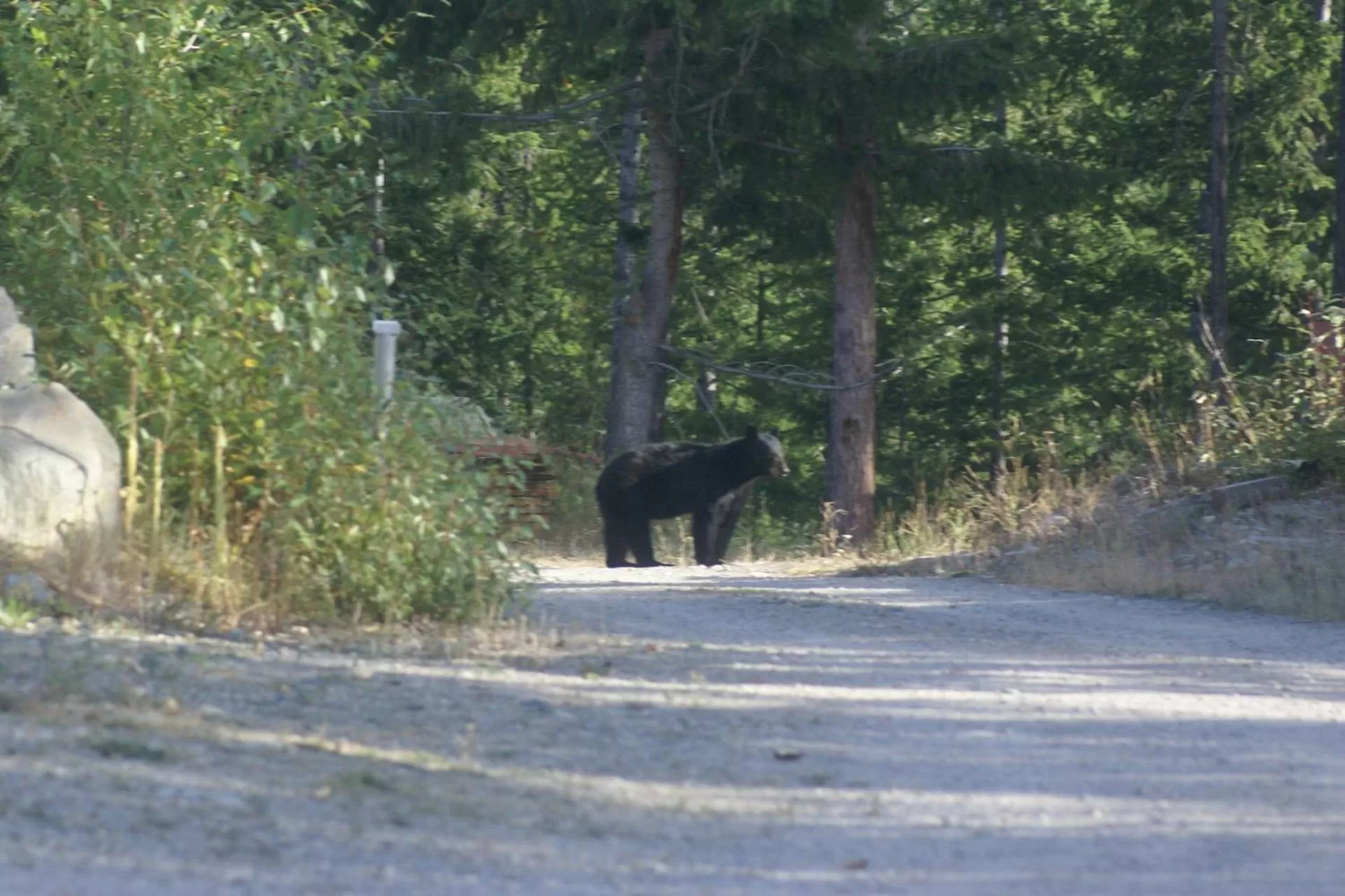 Area and facilities in Alpenglow Bed and Breakfast