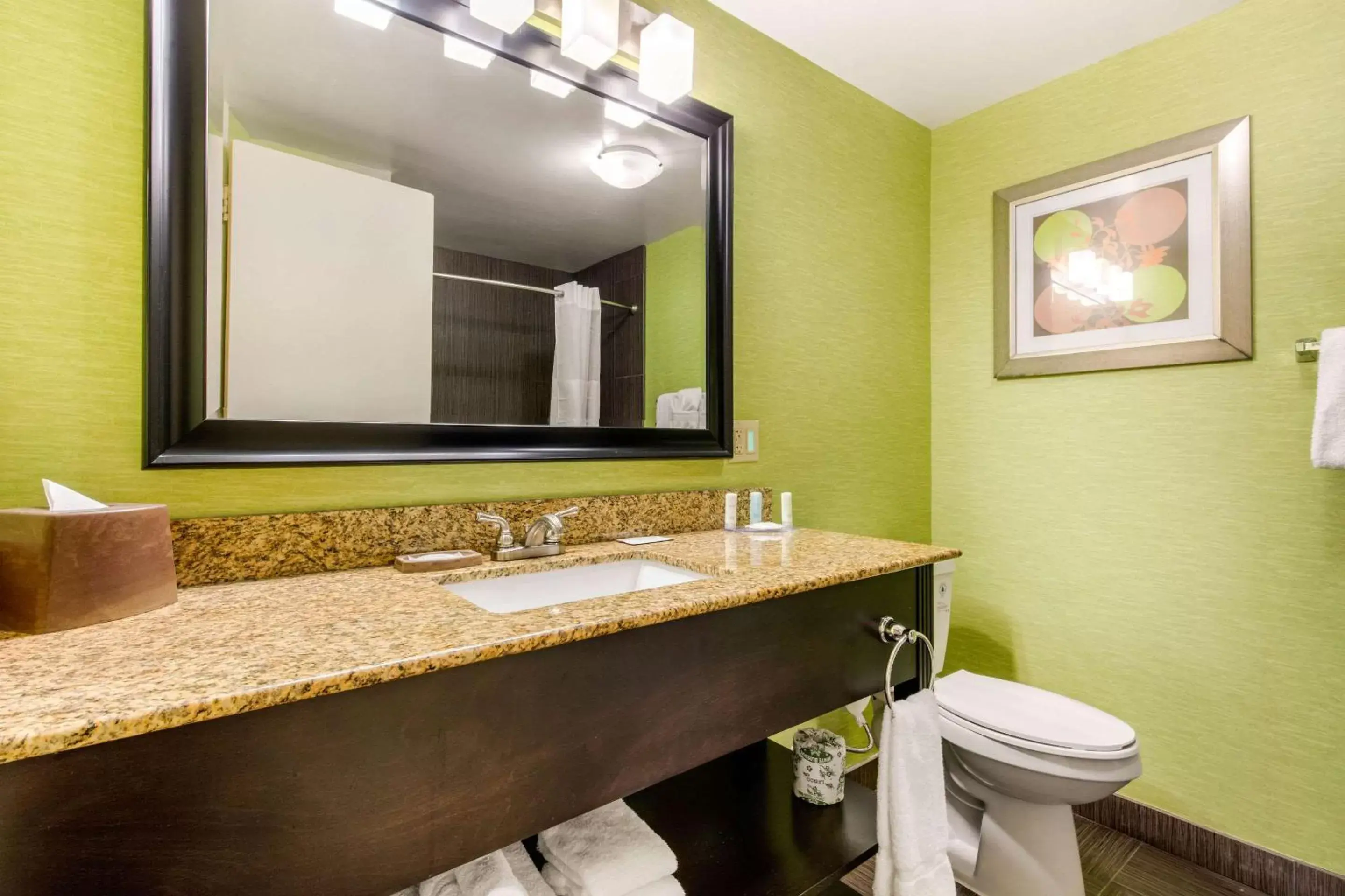 Bedroom, Bathroom in Clarion Hotel Downtown Nashville - Stadium