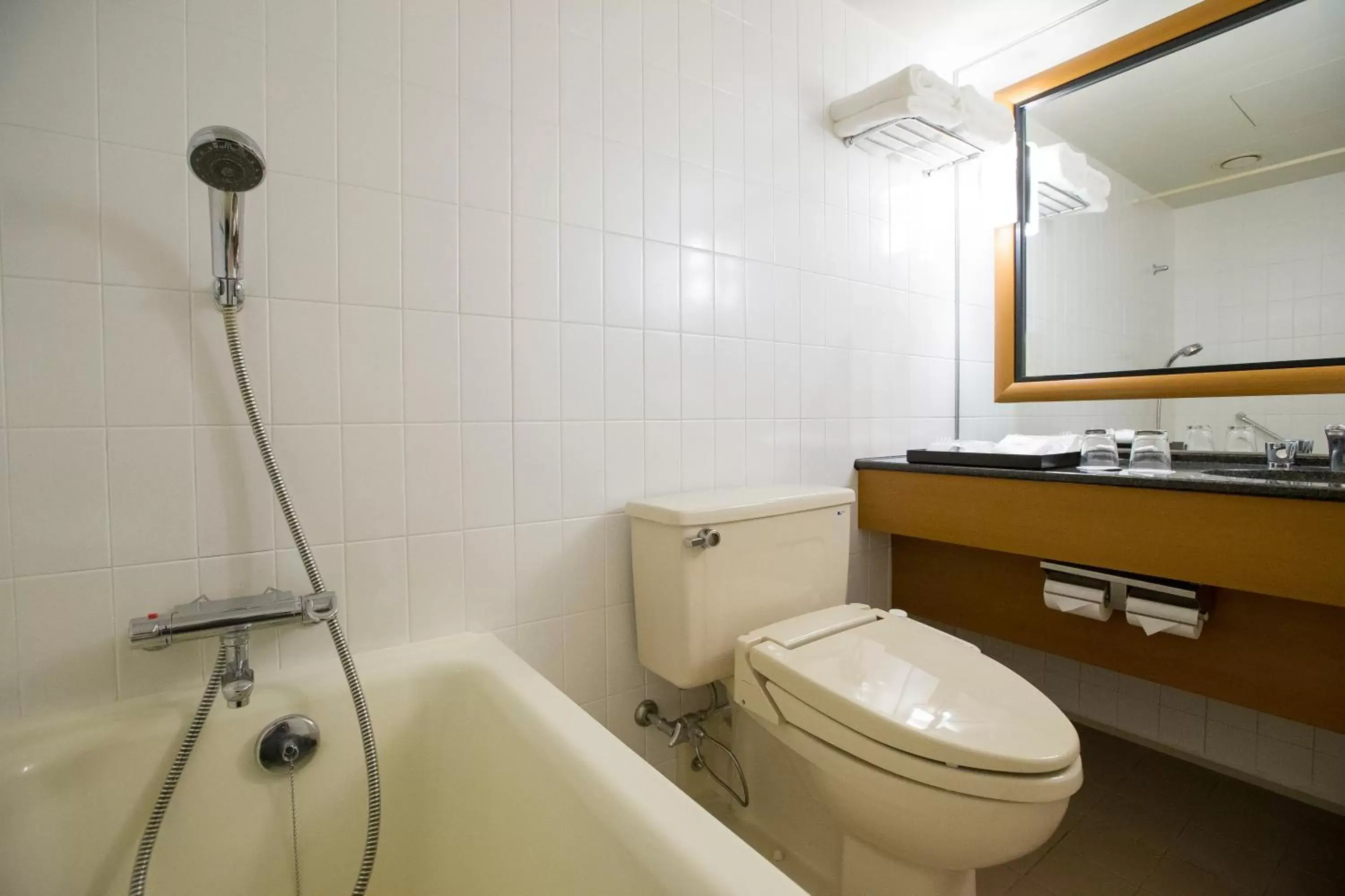 Bathroom in Nagoya Tokyu Hotel