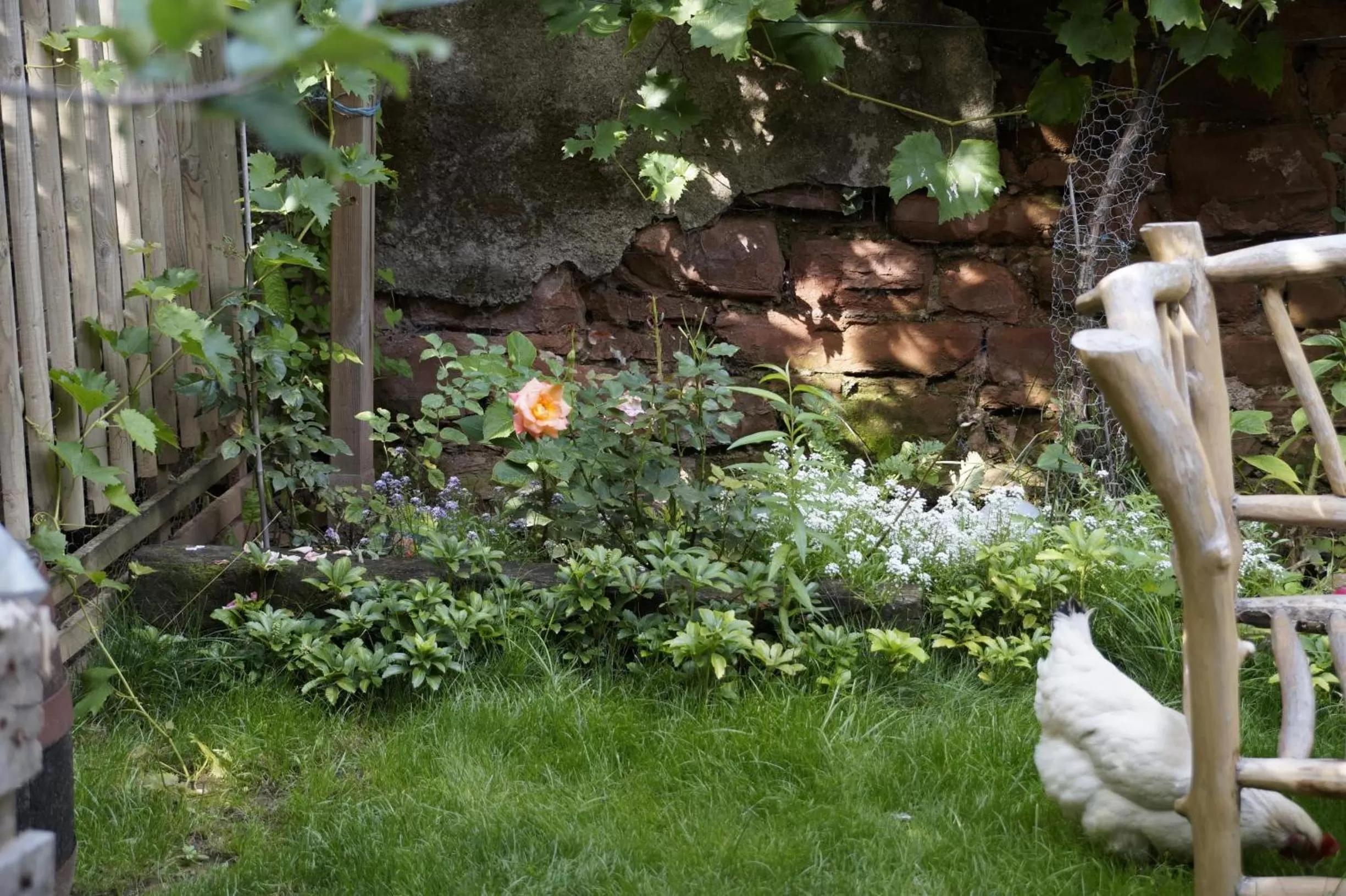 Garden in Jugendstil-Hof