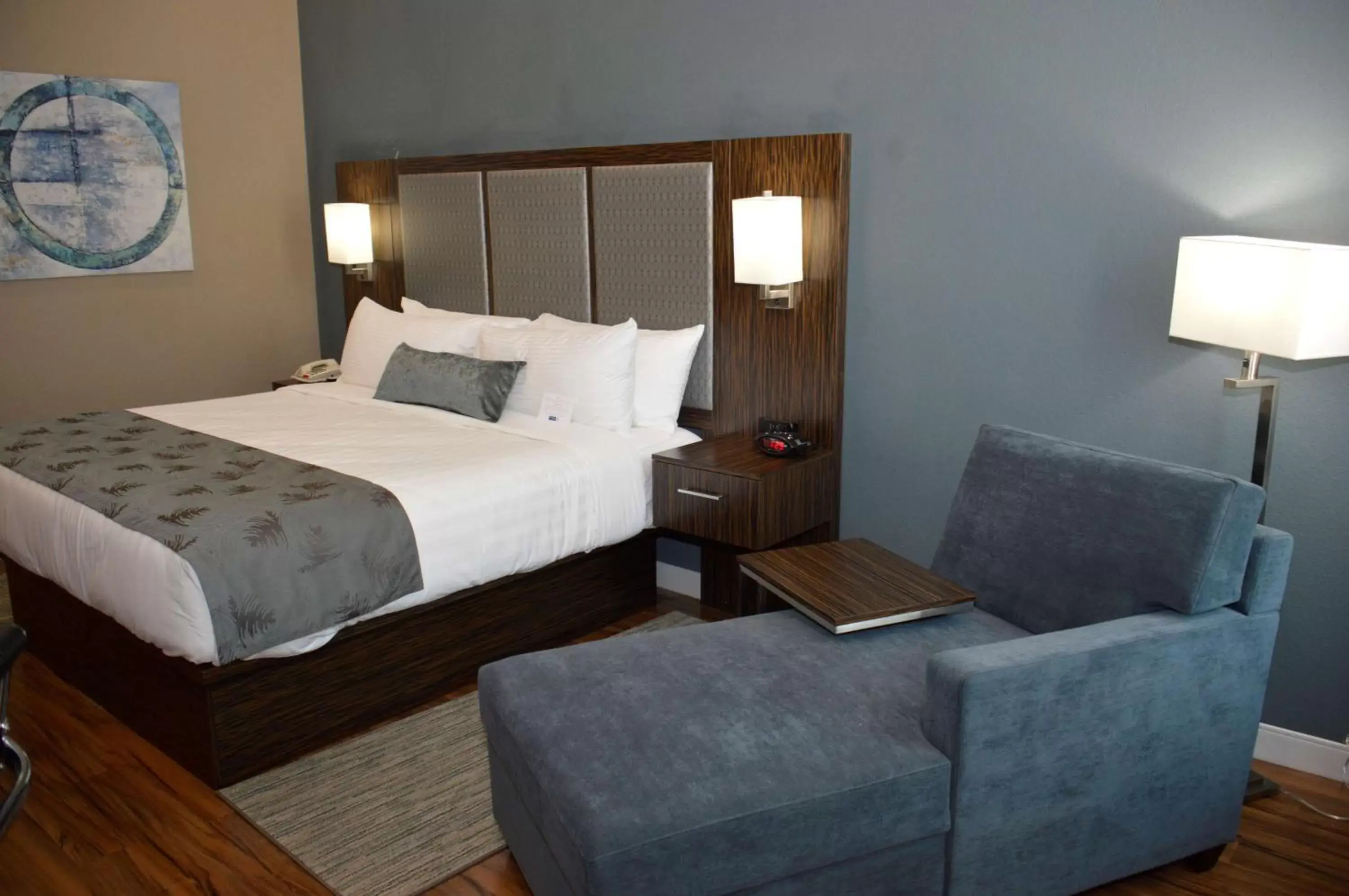 King Room with Roll-In Shower - Disability Access in Best Western Plus Pflugerville Inn & Suites