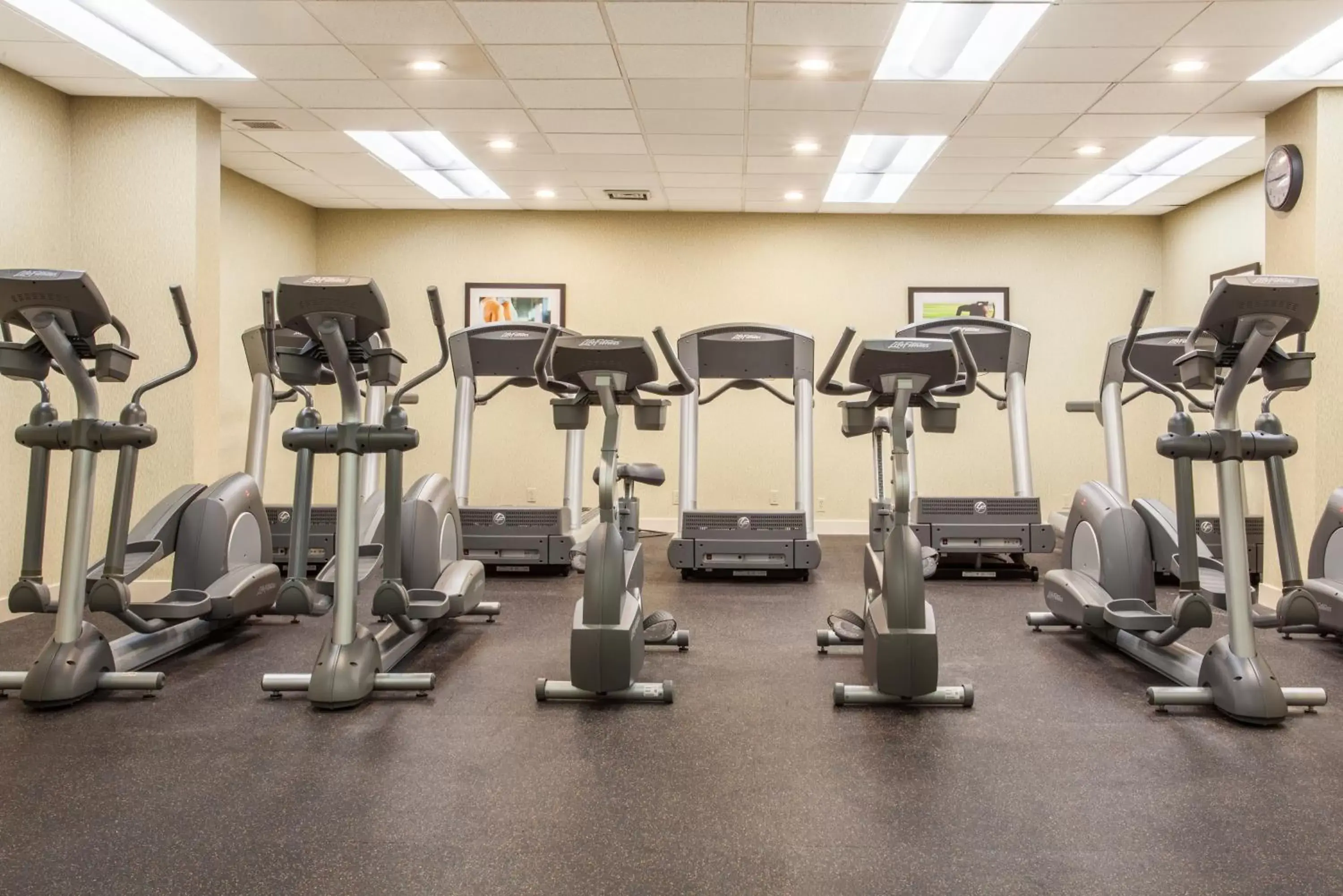 Spa and wellness centre/facilities, Fitness Center/Facilities in Holiday Inn Toronto International Airport, an IHG Hotel