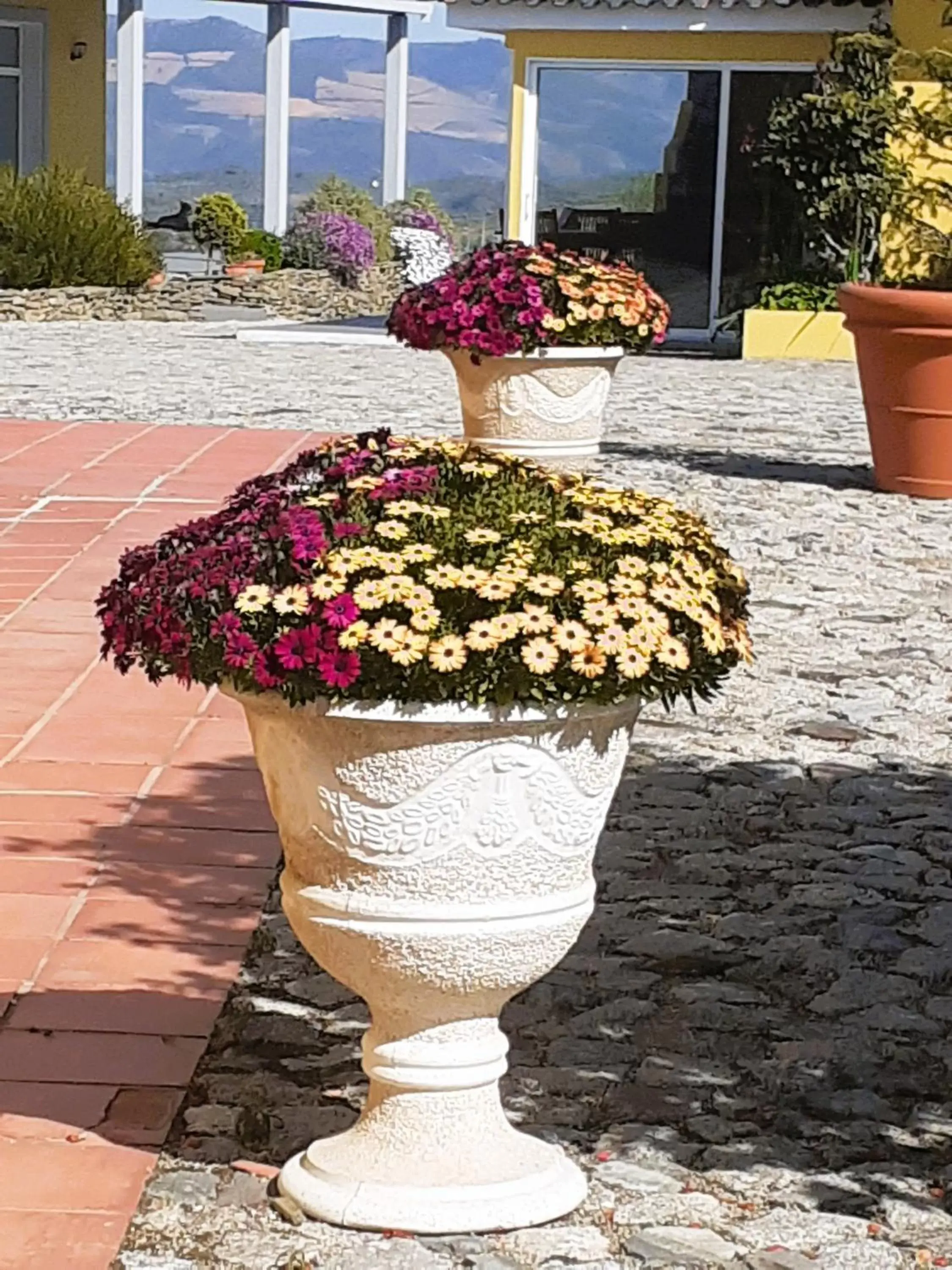 Patio in A Flor da Rosa