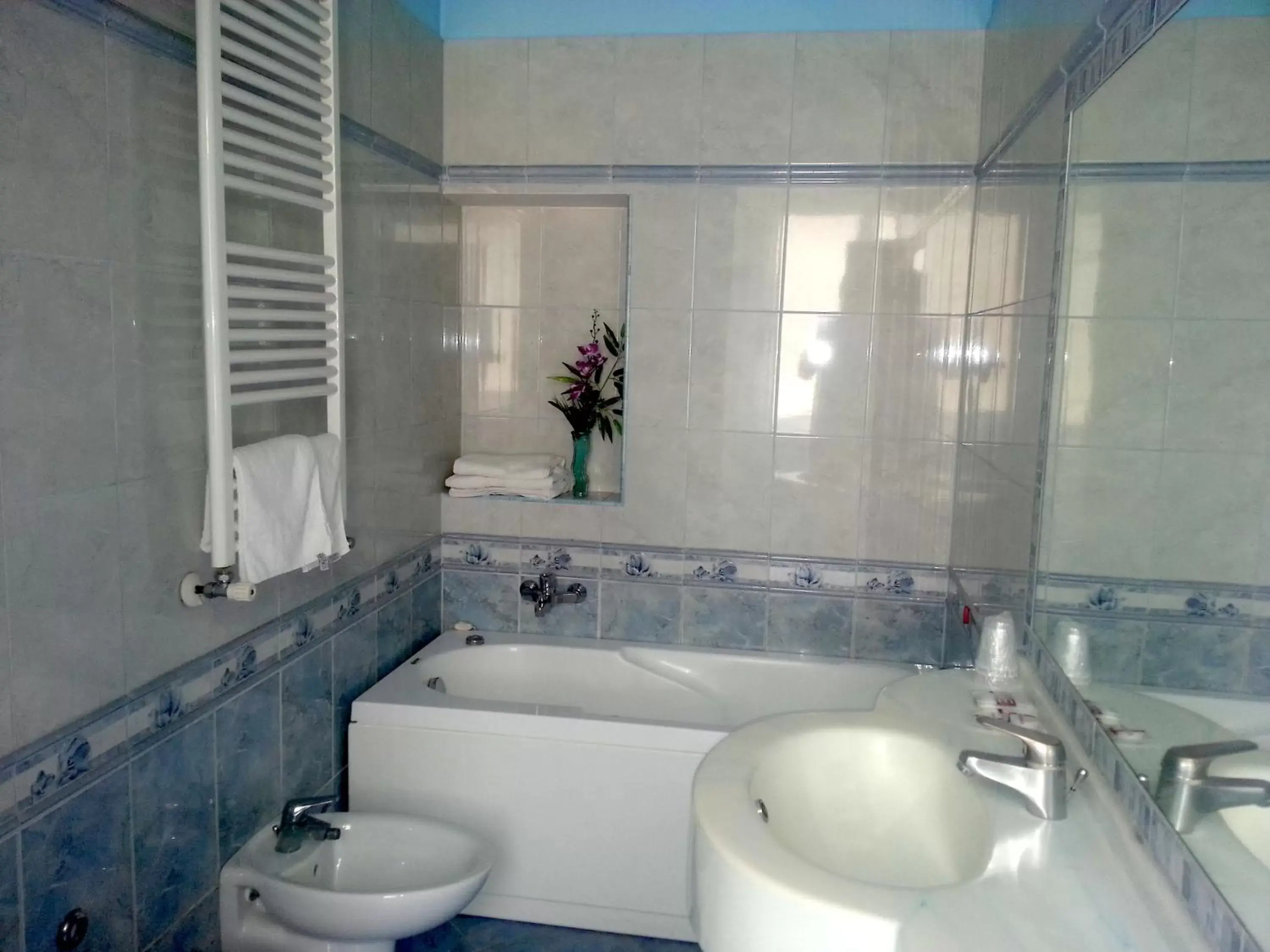 Shower, Bathroom in Hotel Louisiana