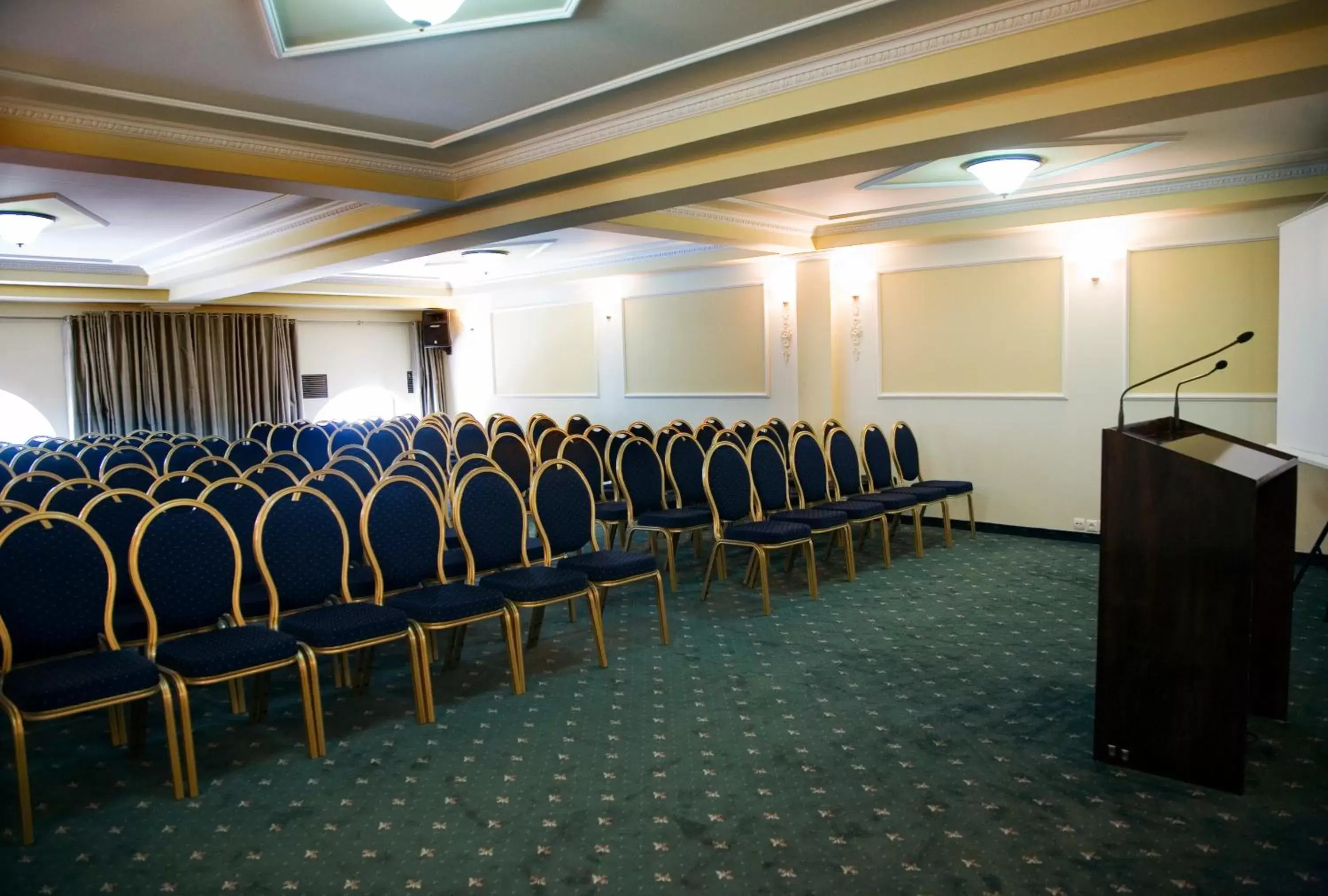 Business facilities in Arni Hotel Domotel