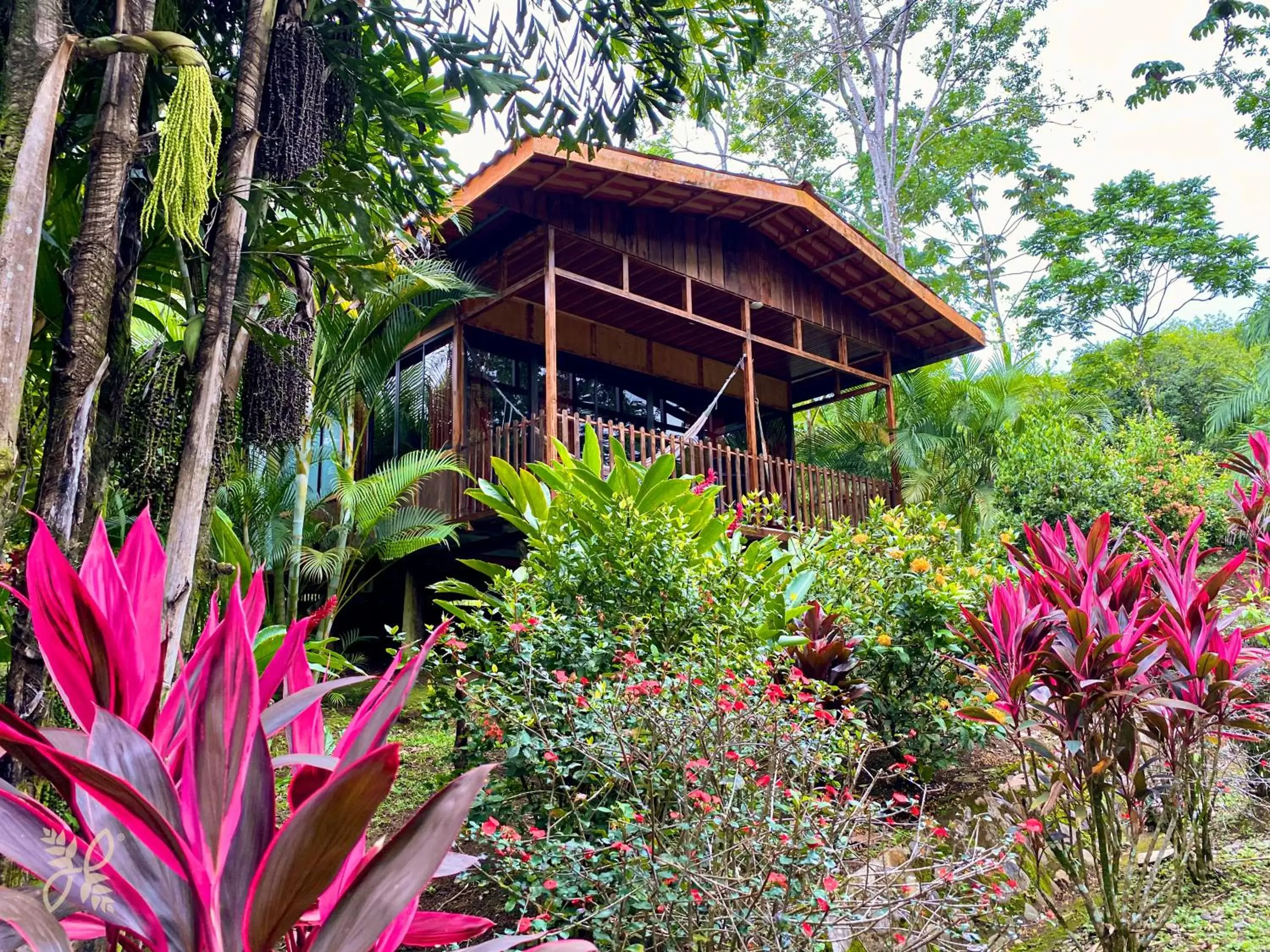 Natural landscape, Property Building in Hotel Heliconias Nature Inn & Hot Springs