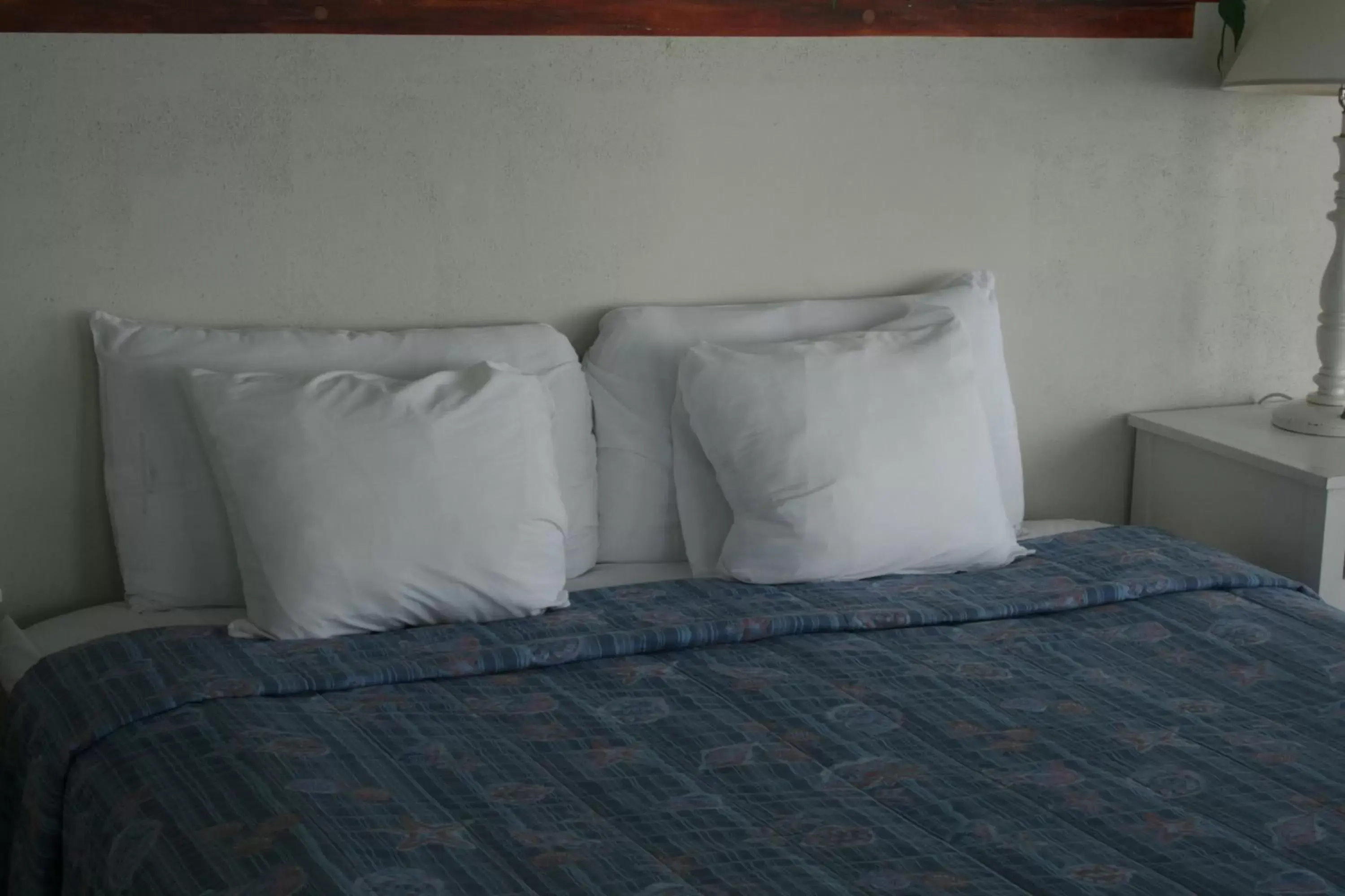 Bed in Beach Front Motel Cedar Key