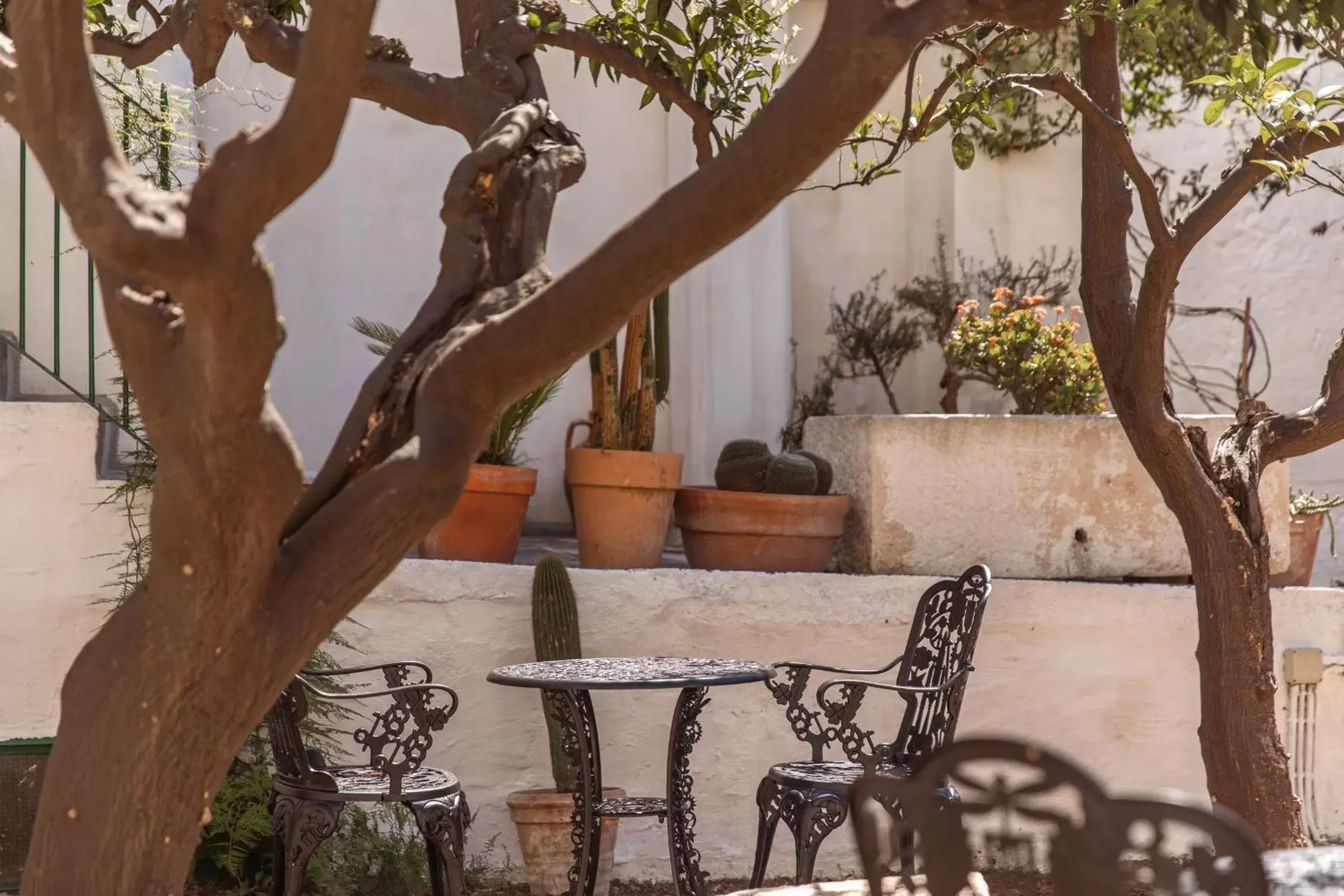 Garden in Il Sogno delle Benedettine