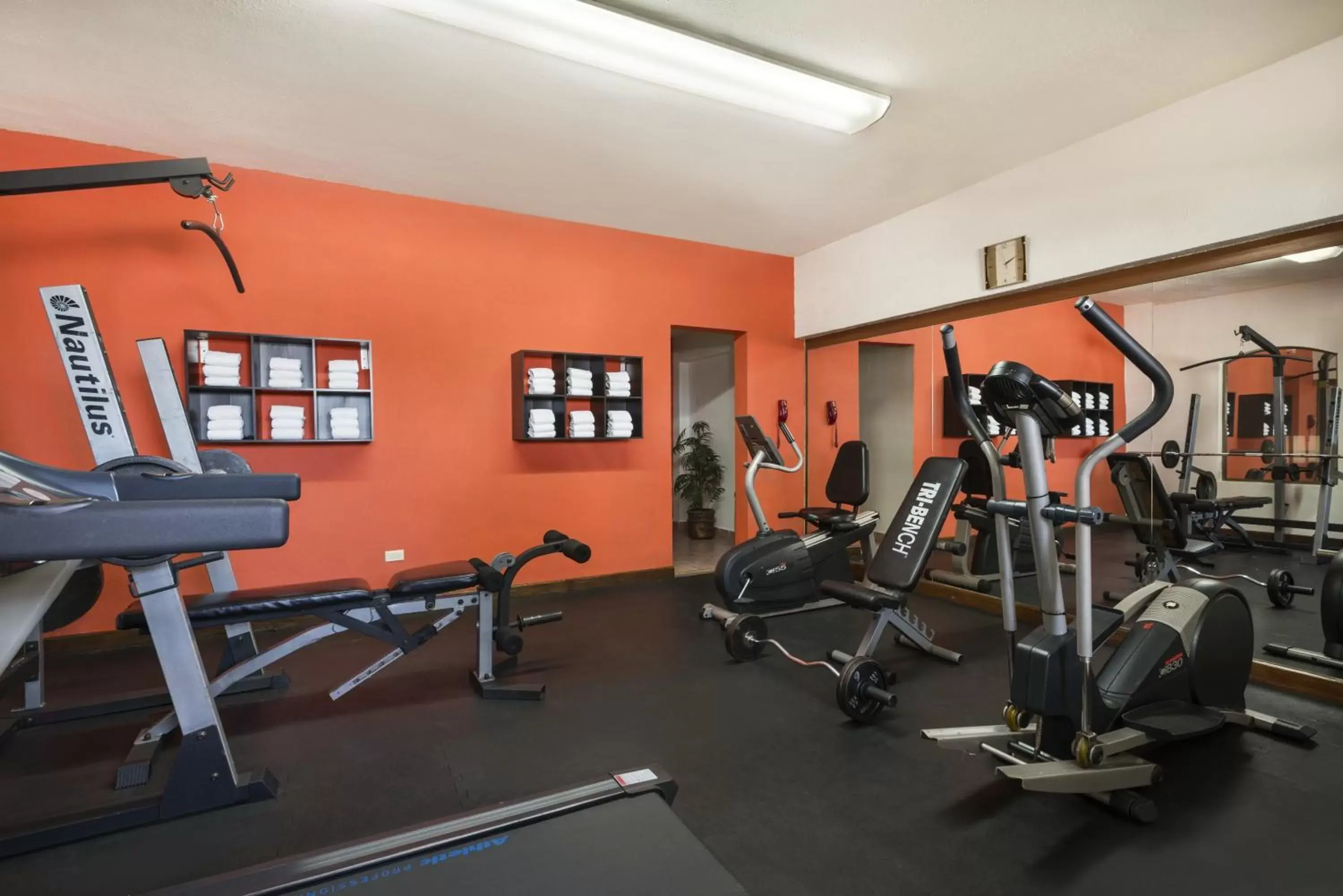 Fitness centre/facilities, Fitness Center/Facilities in Wyndham Garden Obregon