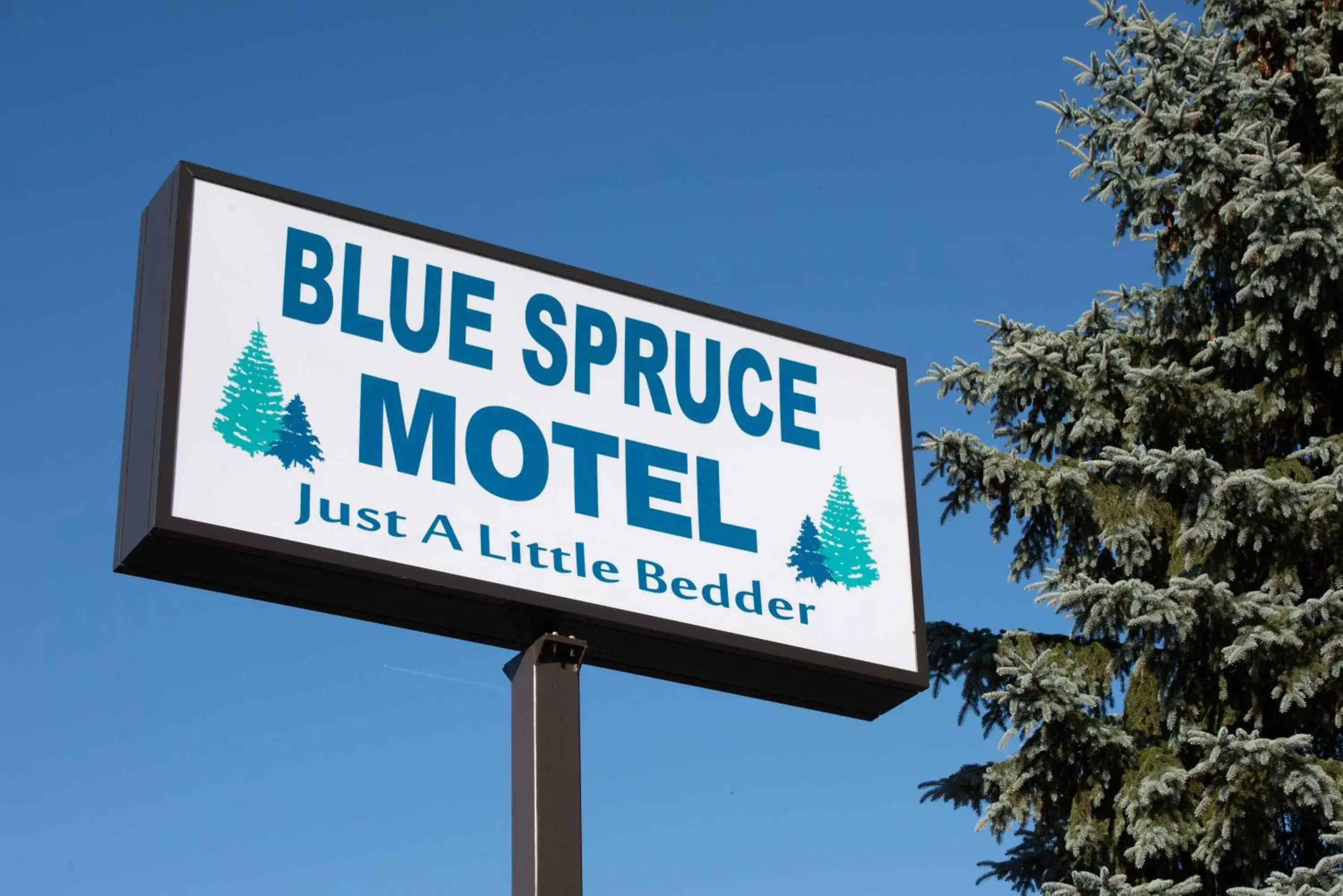 Property logo or sign in Blue Spruce Motel