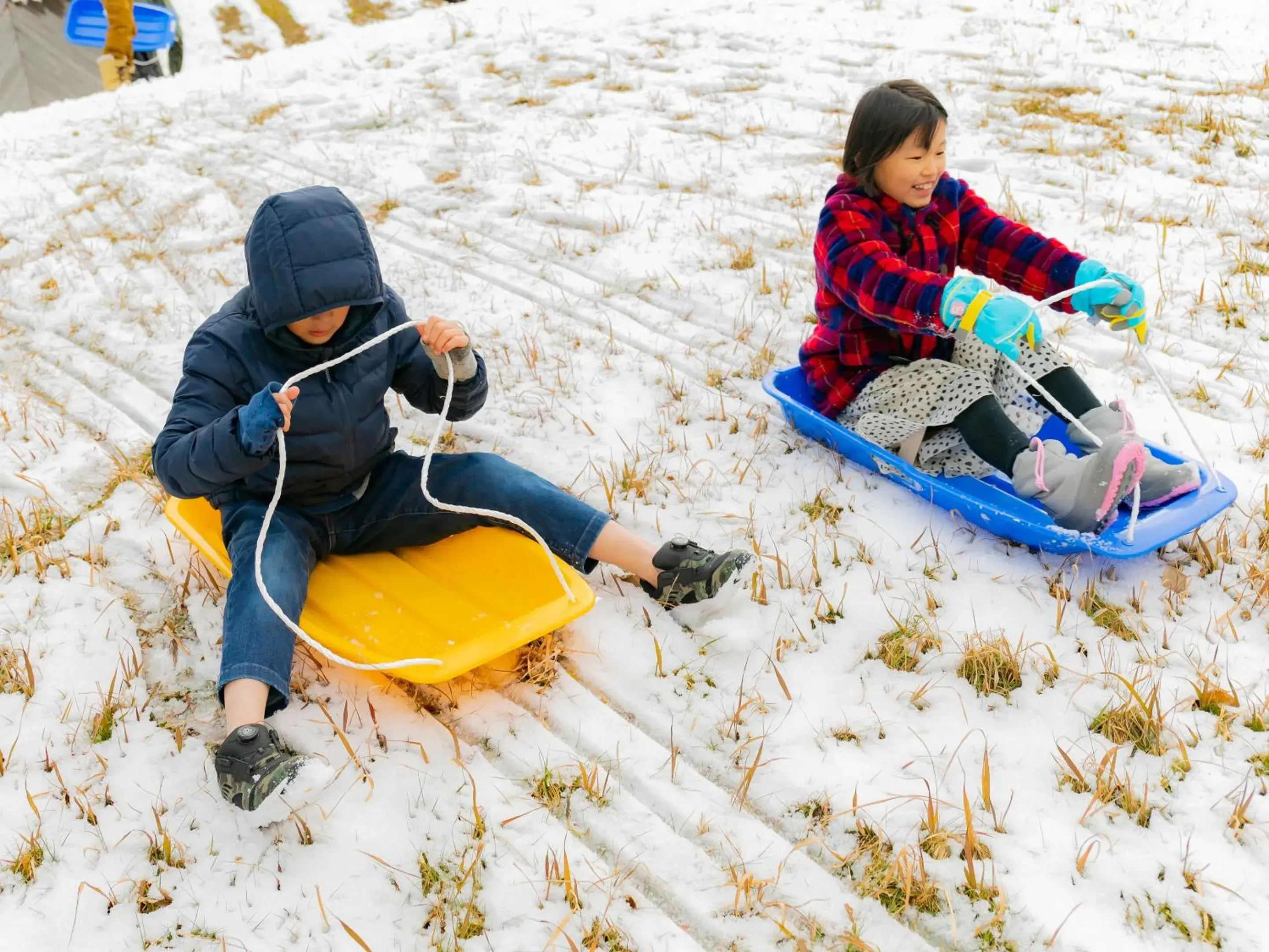 Activities in Matsue Forest Park