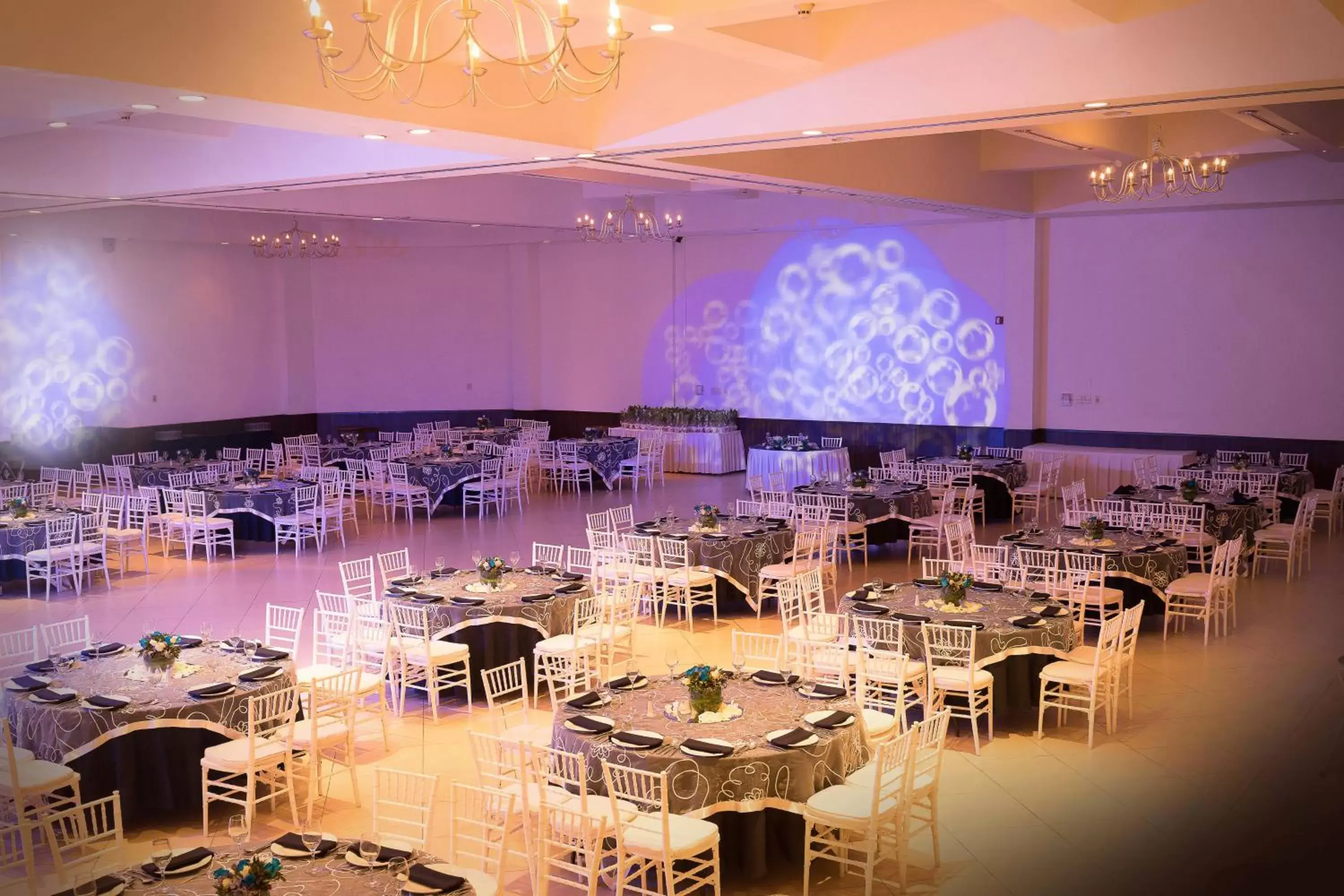 Banquet/Function facilities, Banquet Facilities in Courtyard by Marriott Puebla Las Animas