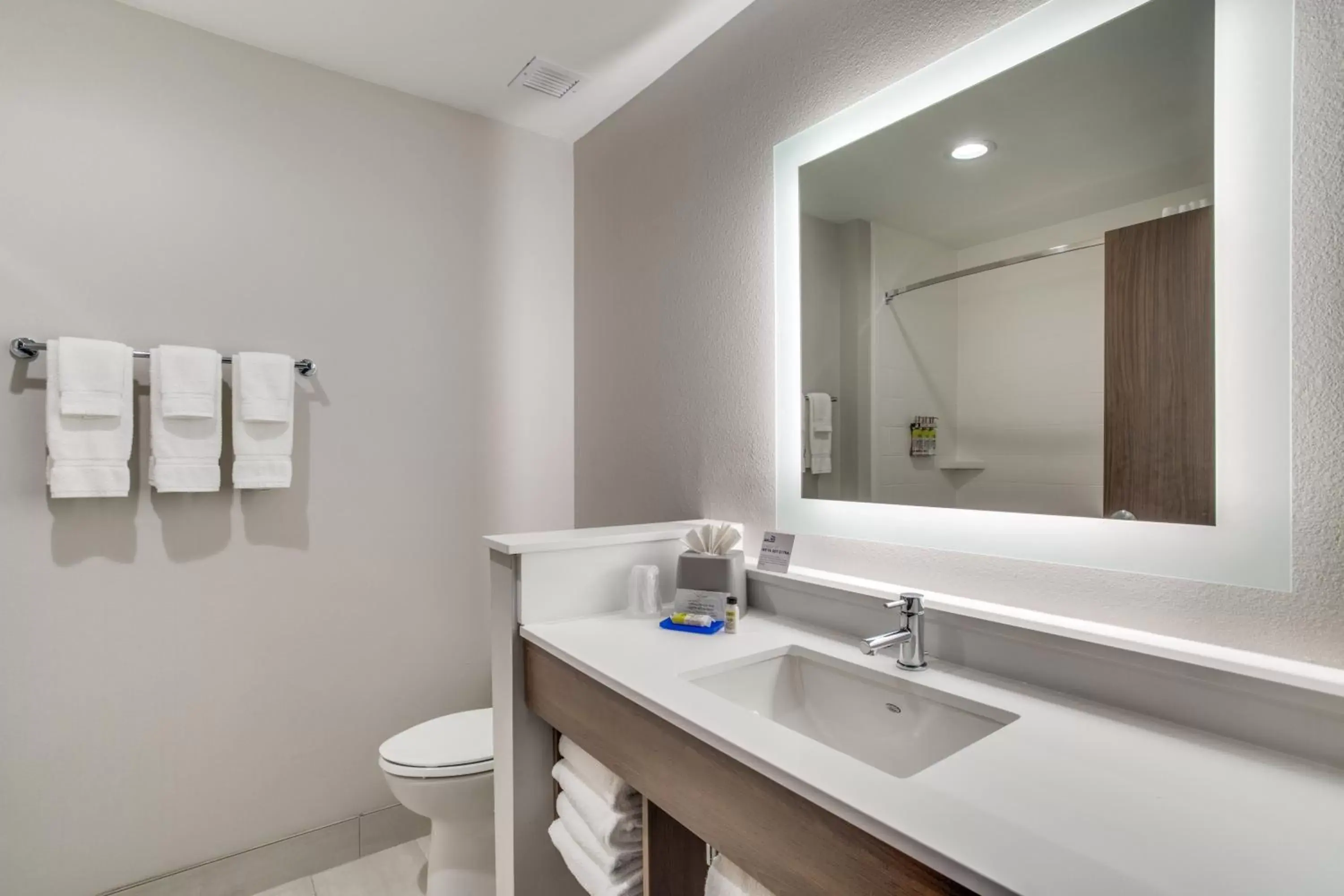 Bathroom in Holiday Inn Express & Suites - Denton South, an IHG Hotel