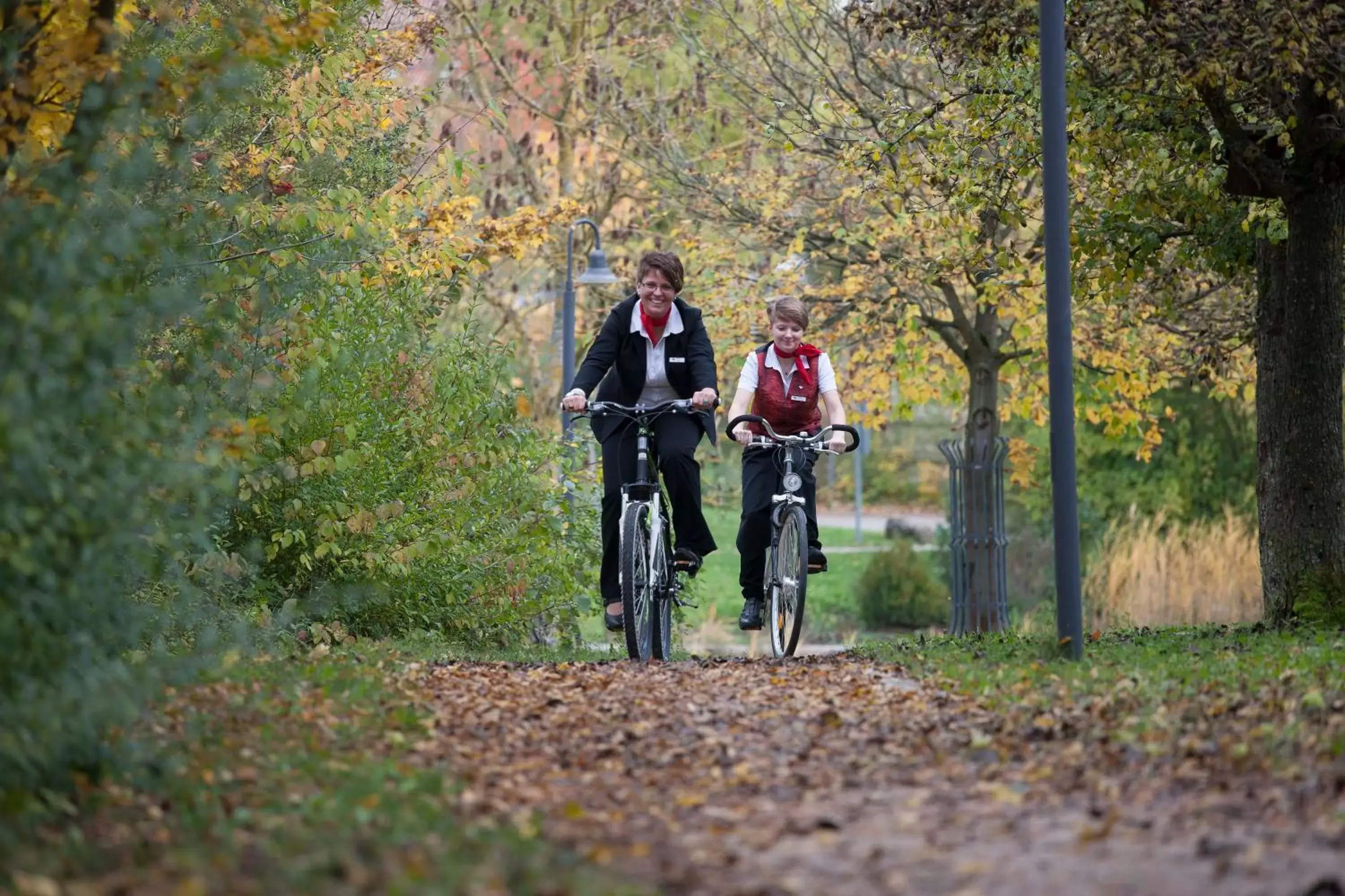 Cycling, Horseback Riding in Flair Park Hotel Ilshofen