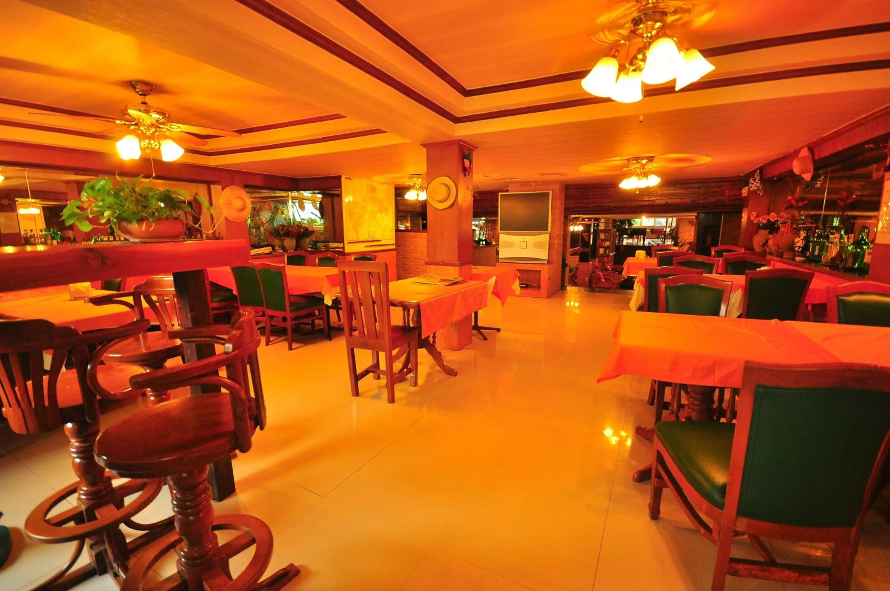 Lounge or bar in Ssv