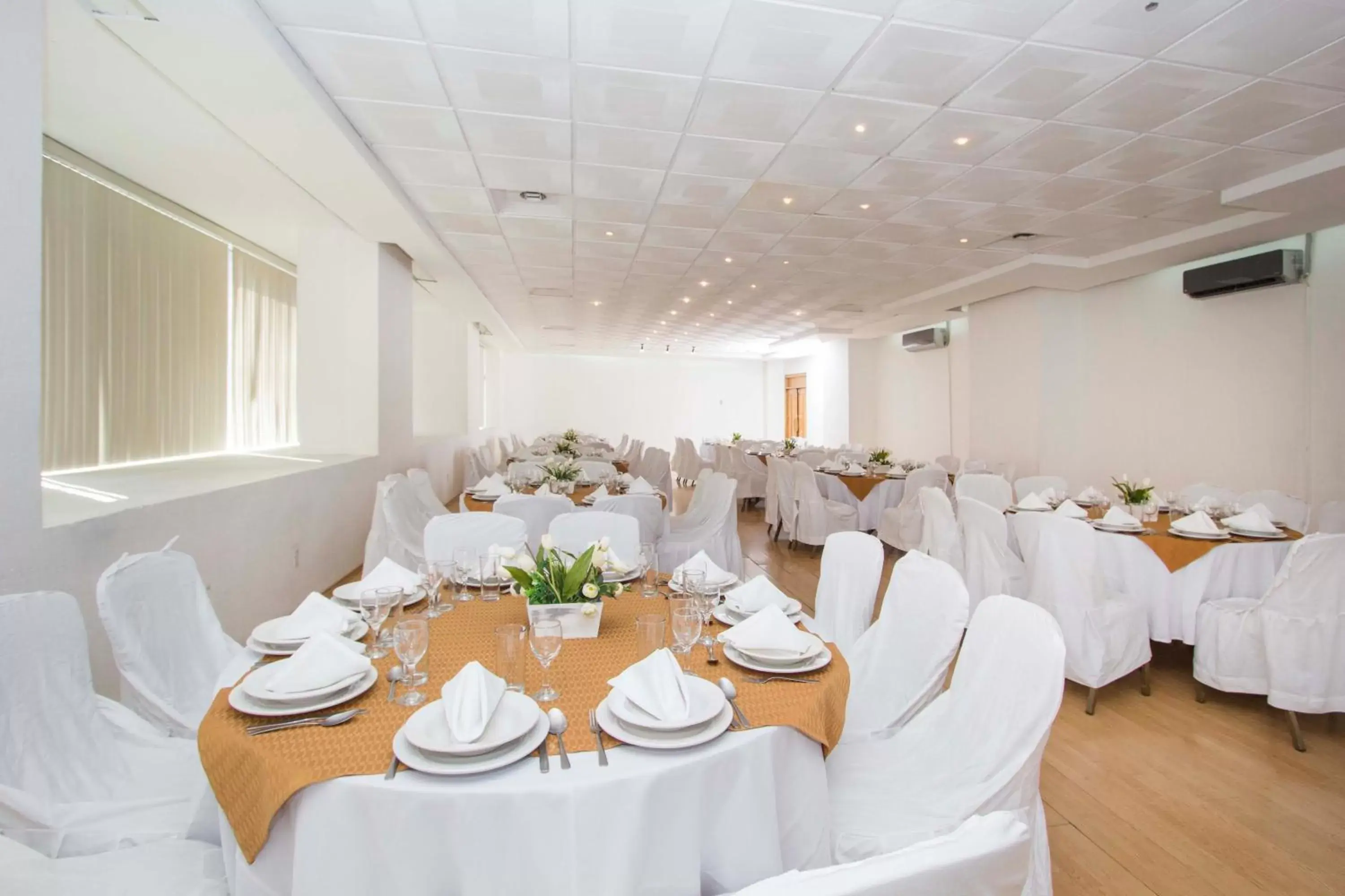 Banquet/Function facilities, Banquet Facilities in Hotel Valle de Mexico Toreo