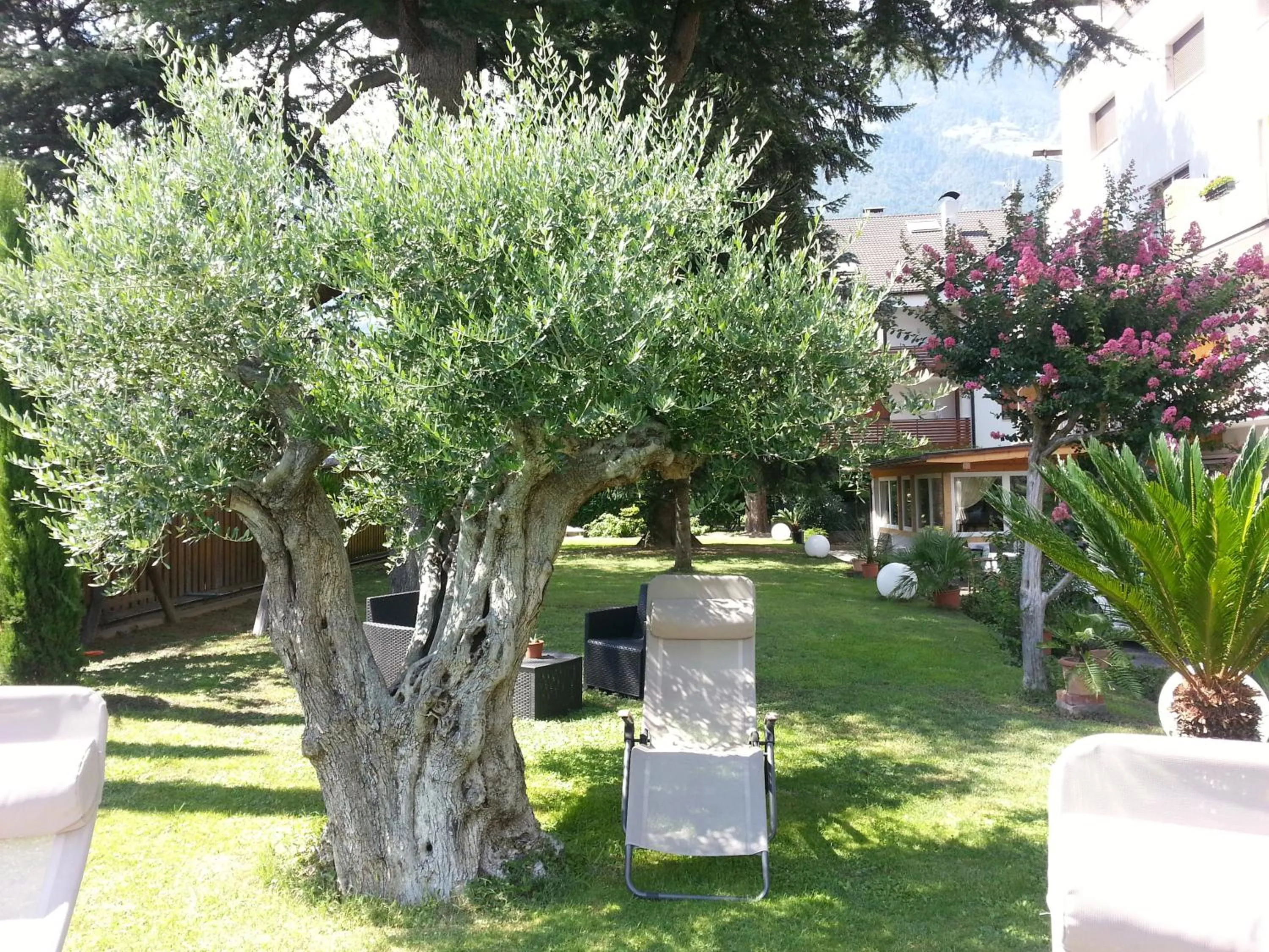 Garden in Hotel Jasmin