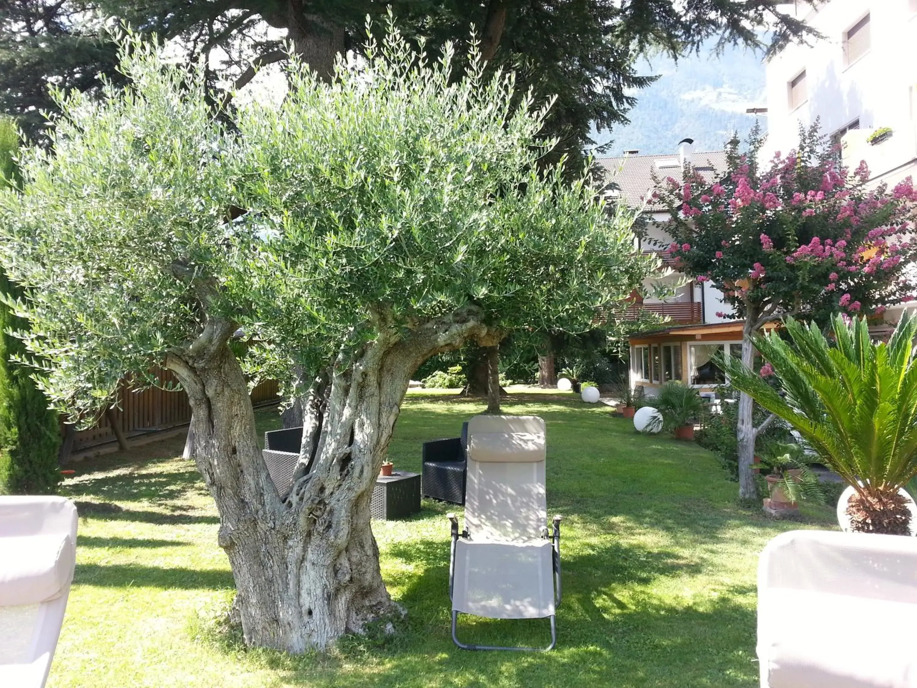 Garden in Hotel Jasmin