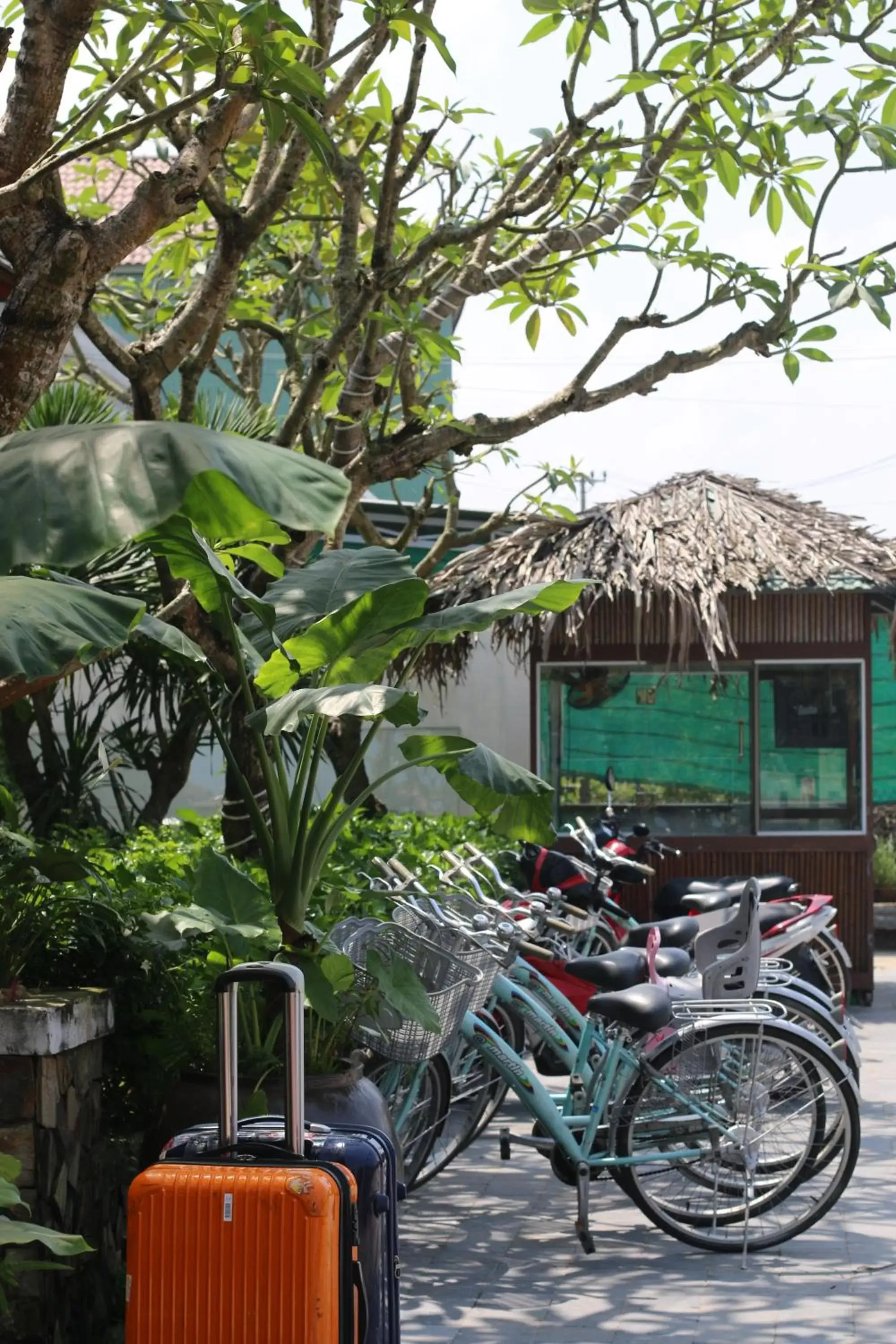 Cycling in Hoi An Eco Lodge & Spa