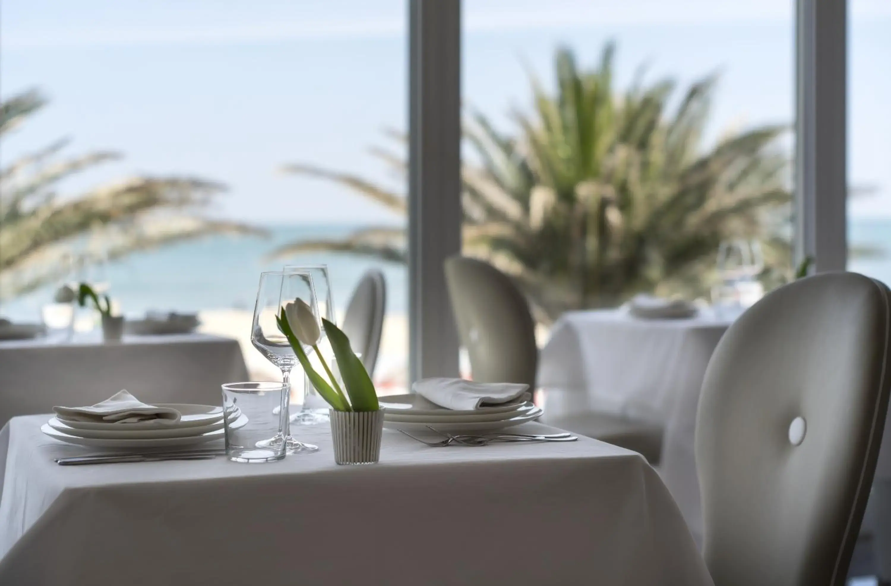 Restaurant/places to eat in Hotel Tiffany's Restaurant/places to eat in Hotel Tiffany's