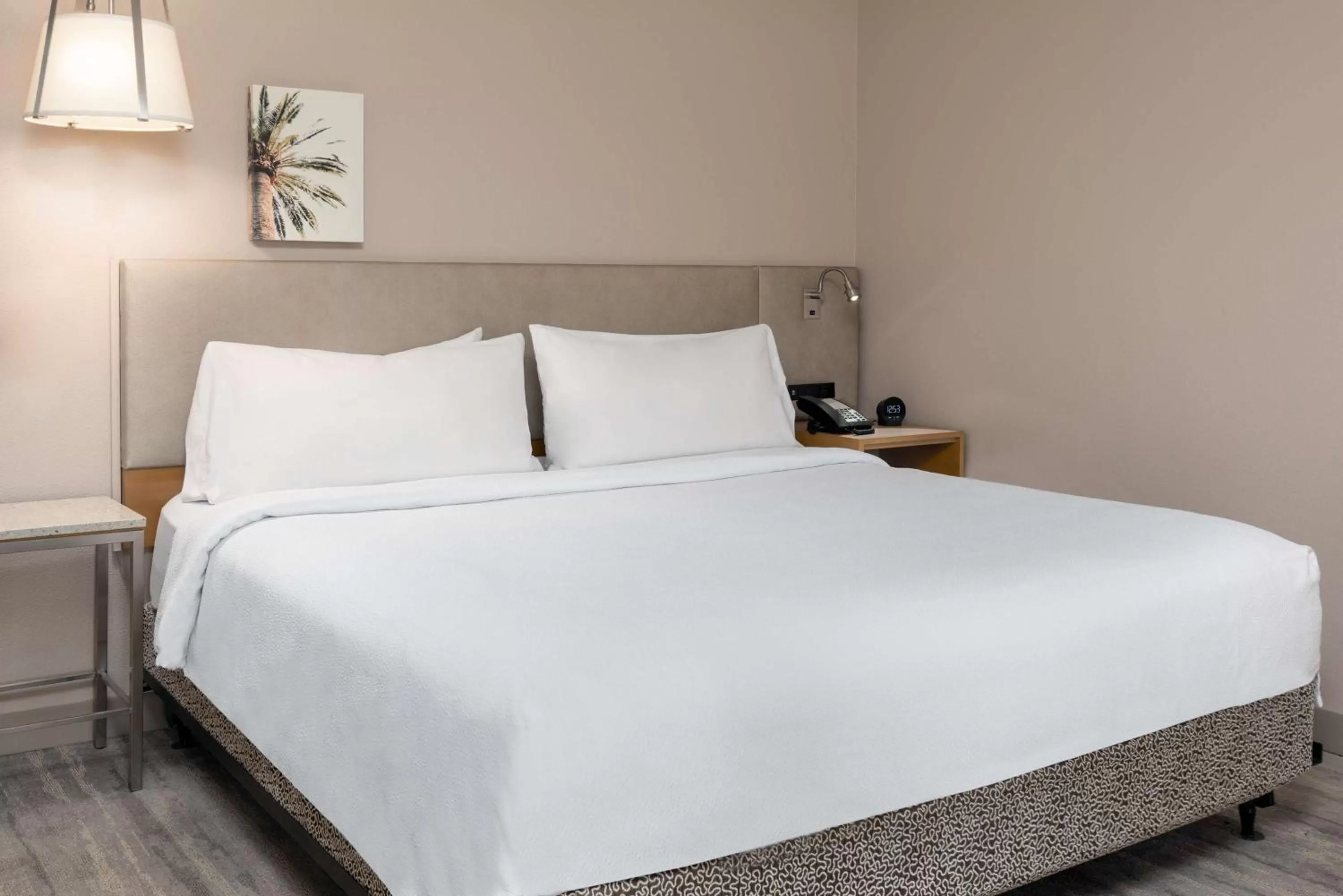 Bed in Hilton Garden Inn Ft. Lauderdale SW/Miramar