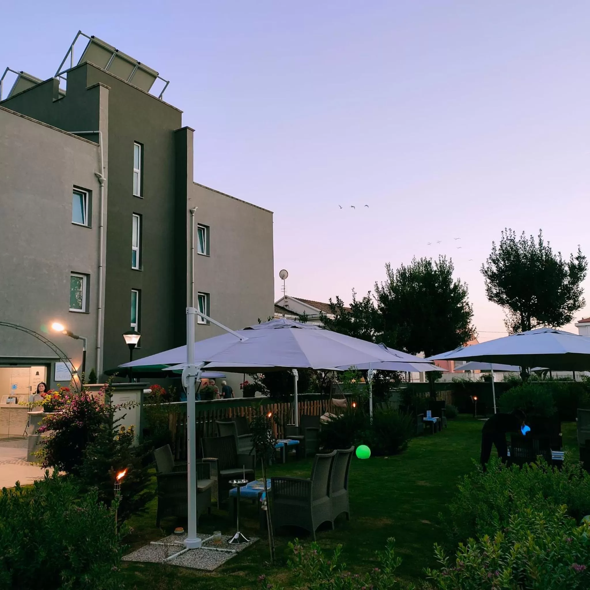Garden in Hotel Calypso