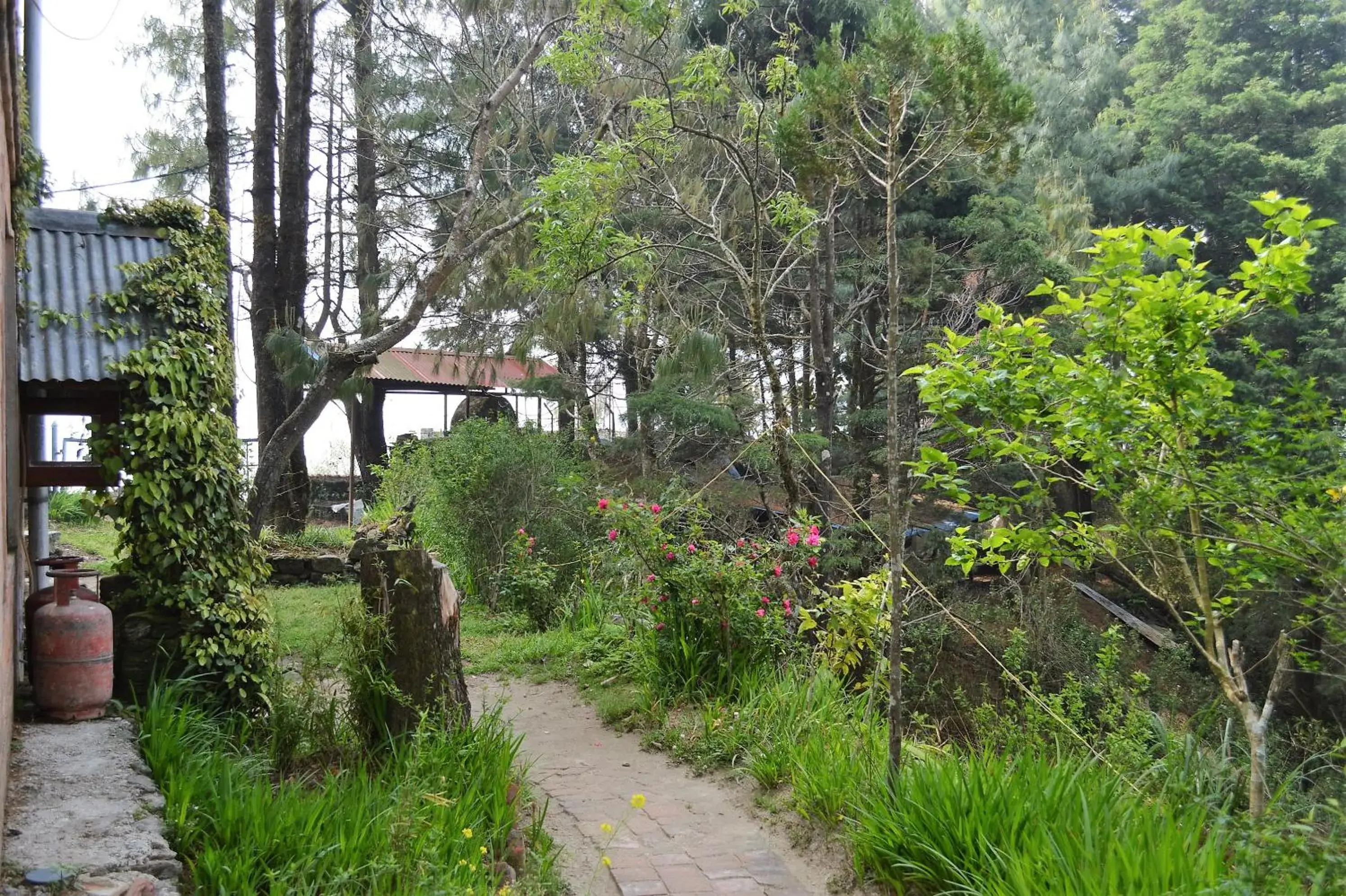 Garden in Hotel At The End Of The Universe