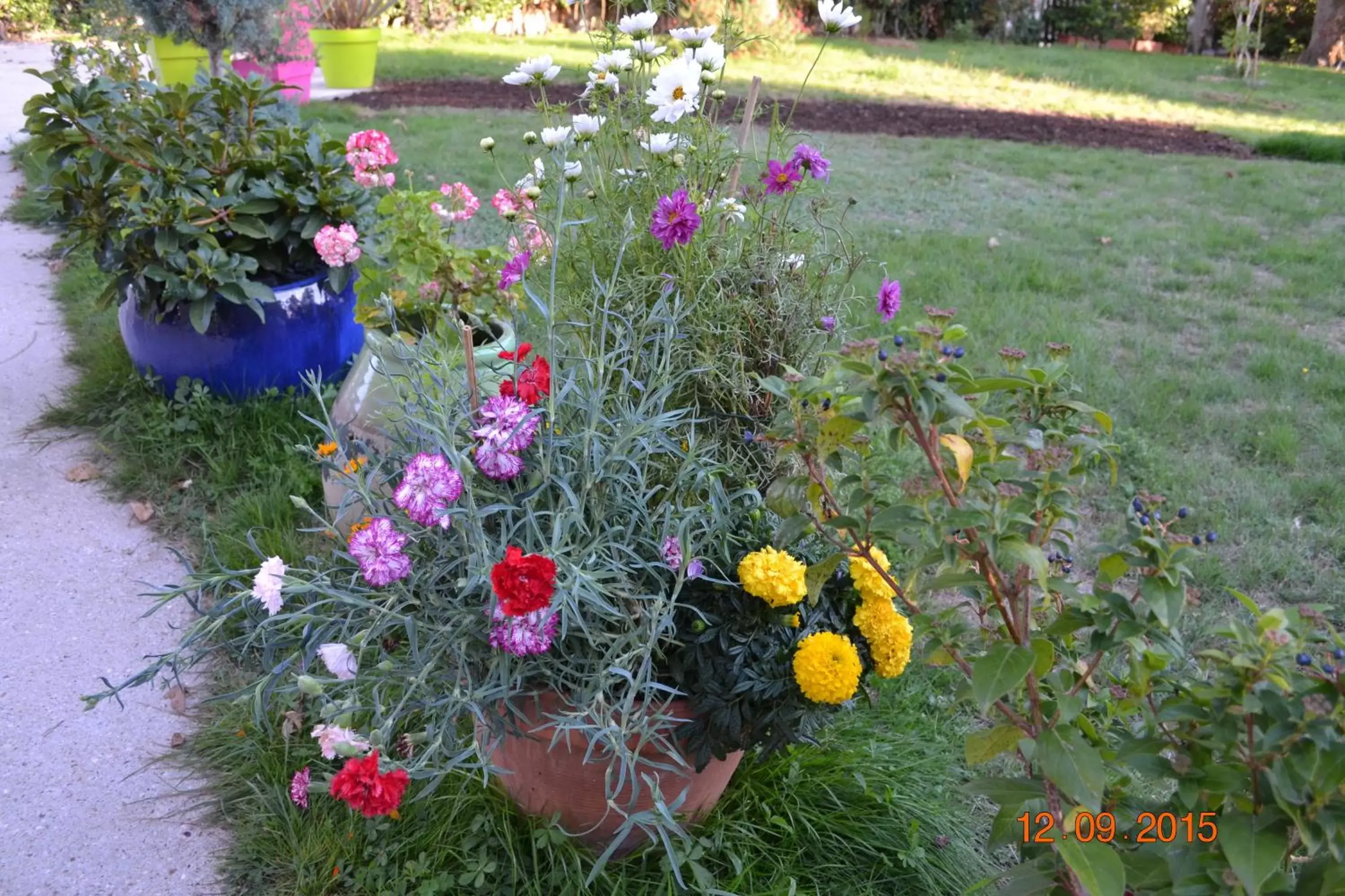 Garden in Hôtel Le Castel