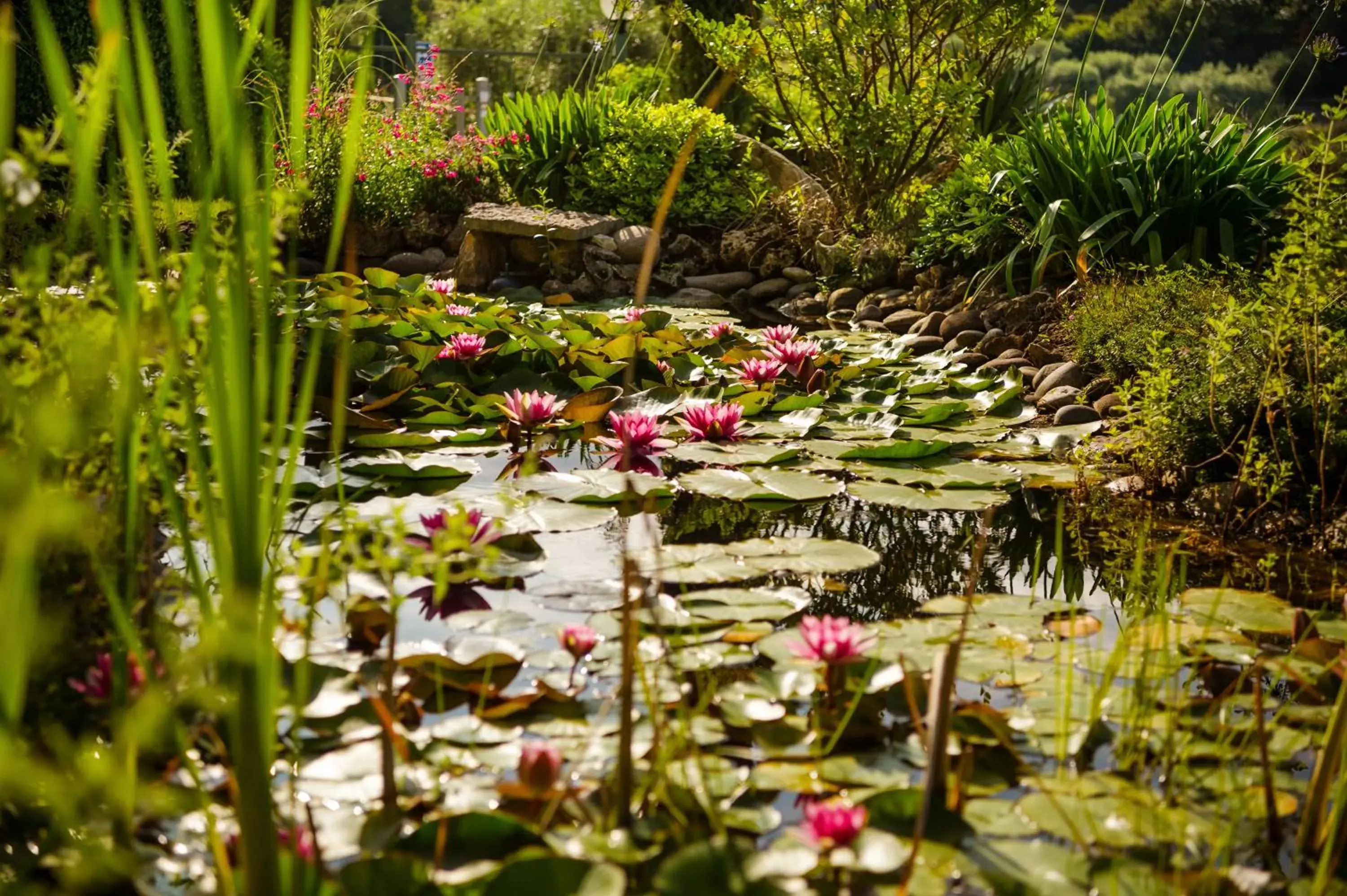 Garden in Madrigale Panoramic&Lifestyle Hotel