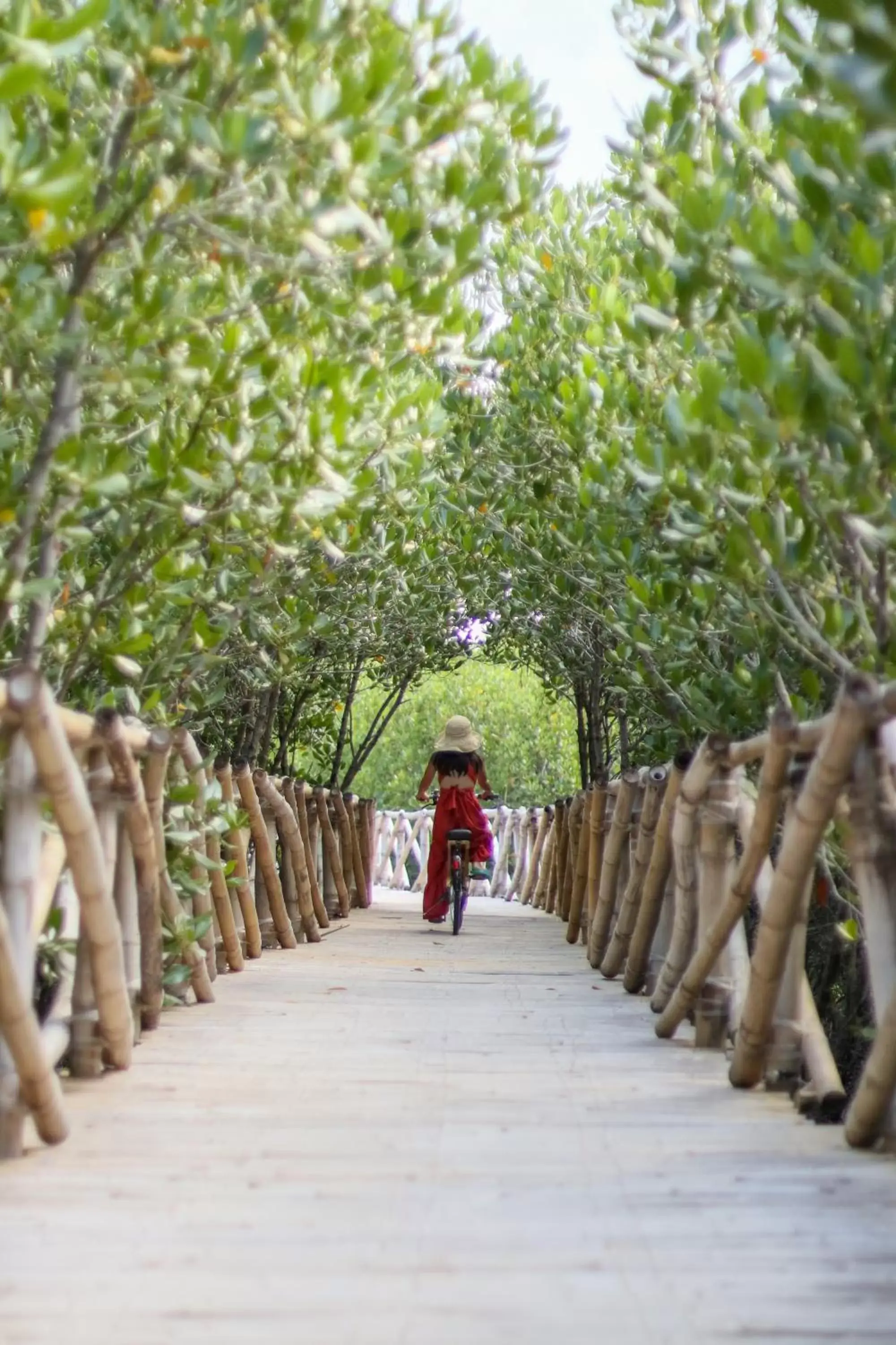 Cycling in North Zen Villas