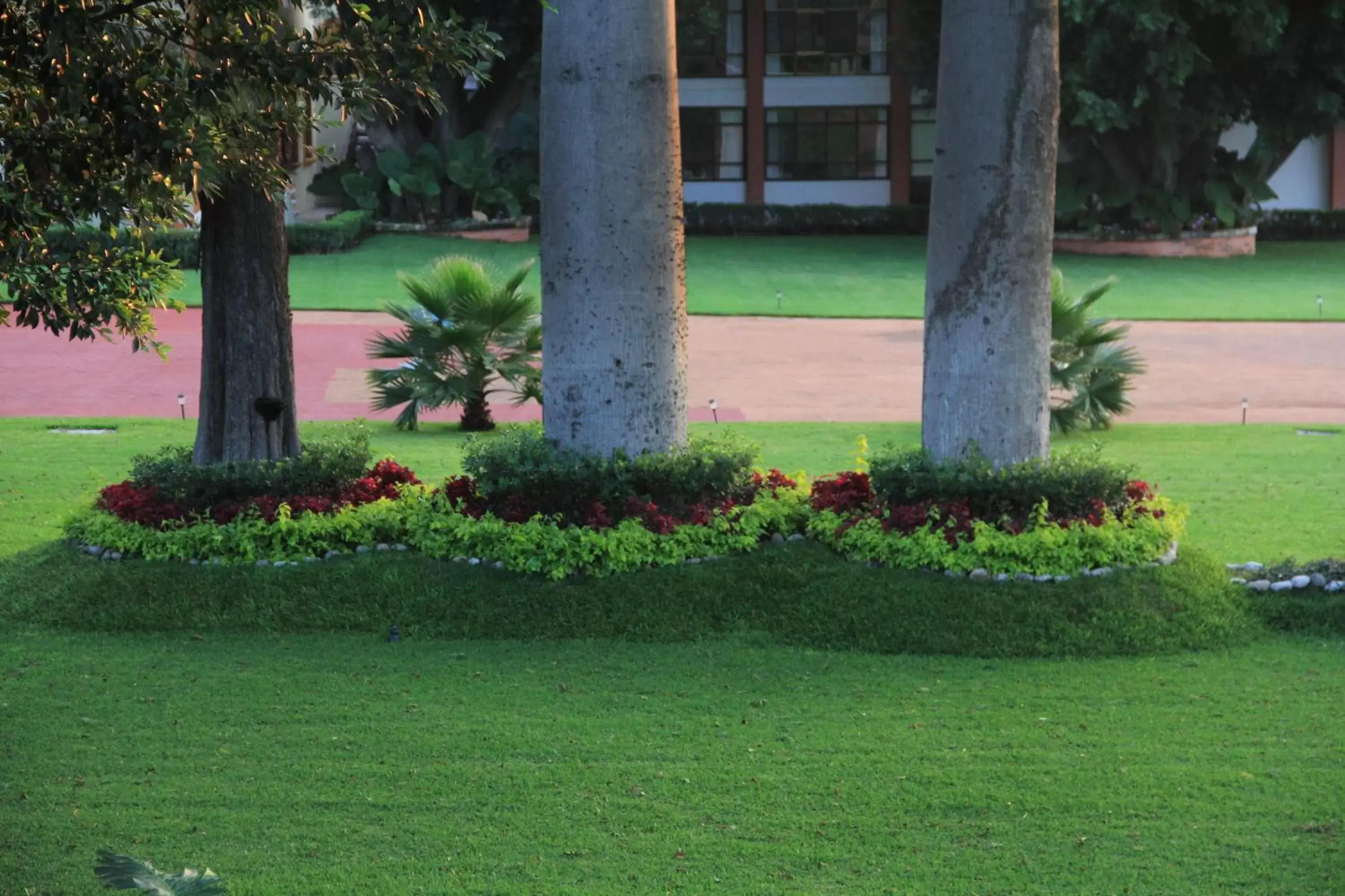 Garden in Hotel La Villa Real