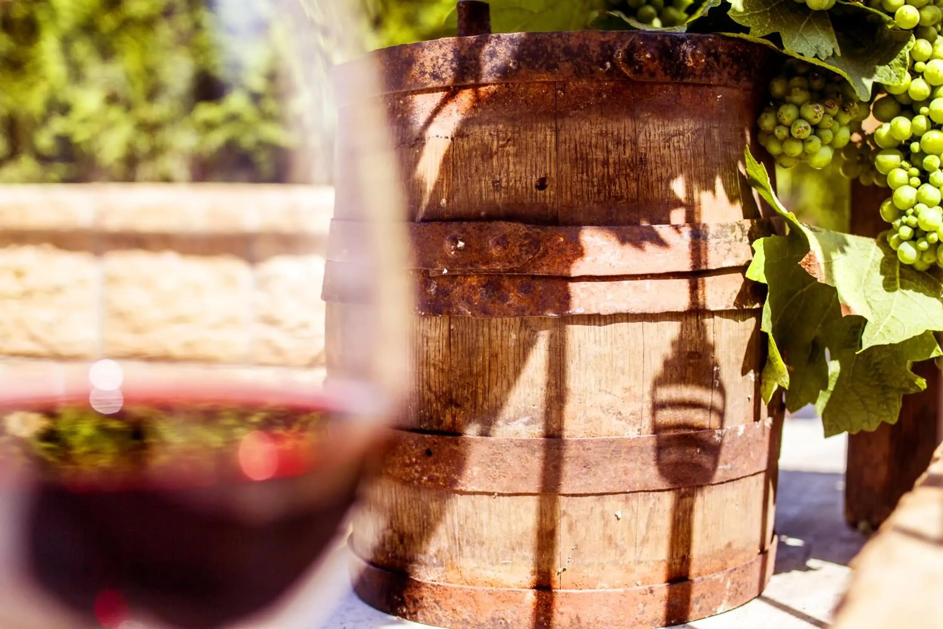 Alcoholic drinks in Zur Weinsteige