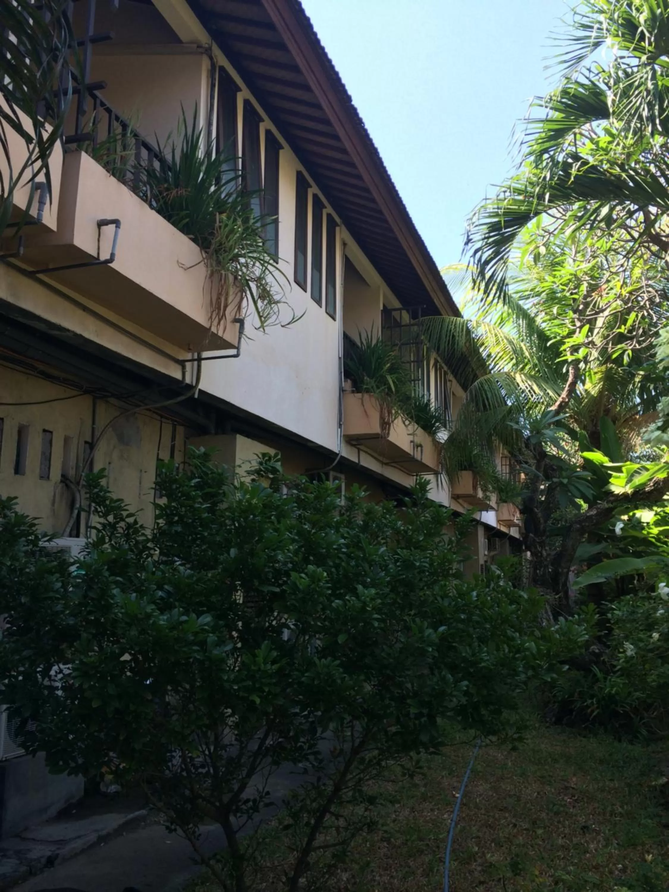 Garden view in Fat Yogi Cottages