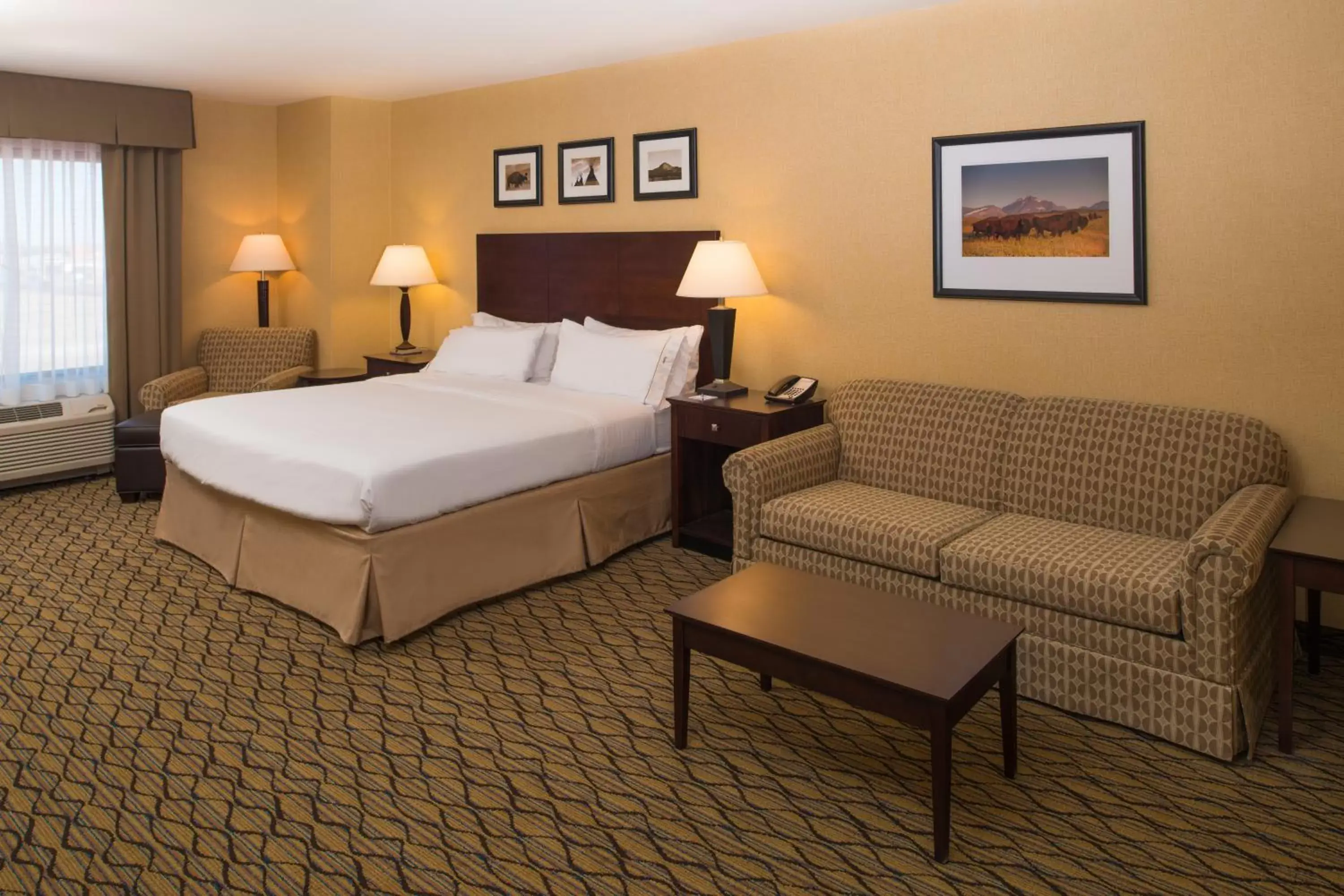 Photo of the whole room in Glacier Peaks Hotel
