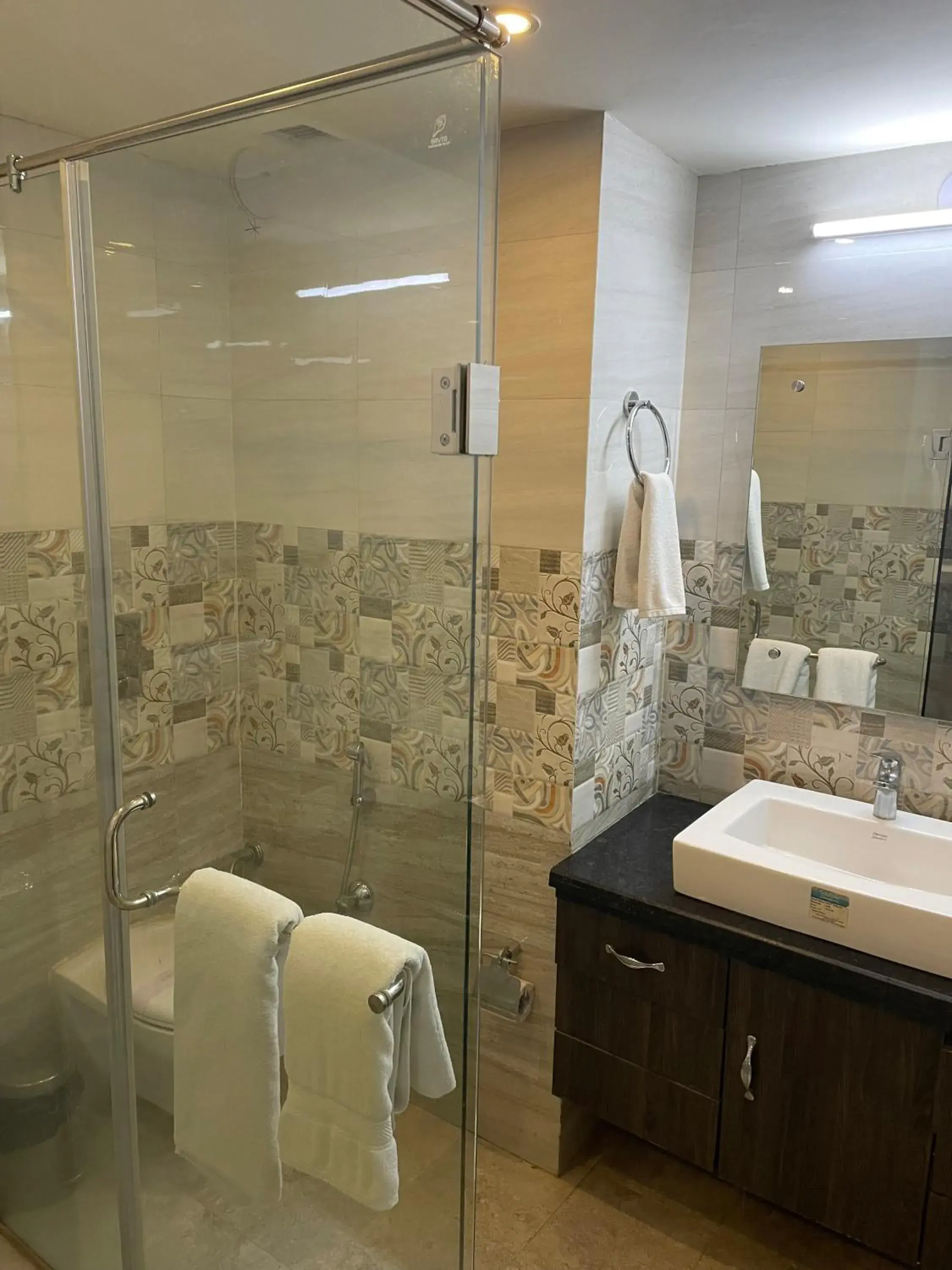 Shower, Bathroom in Hotel Rama Trident