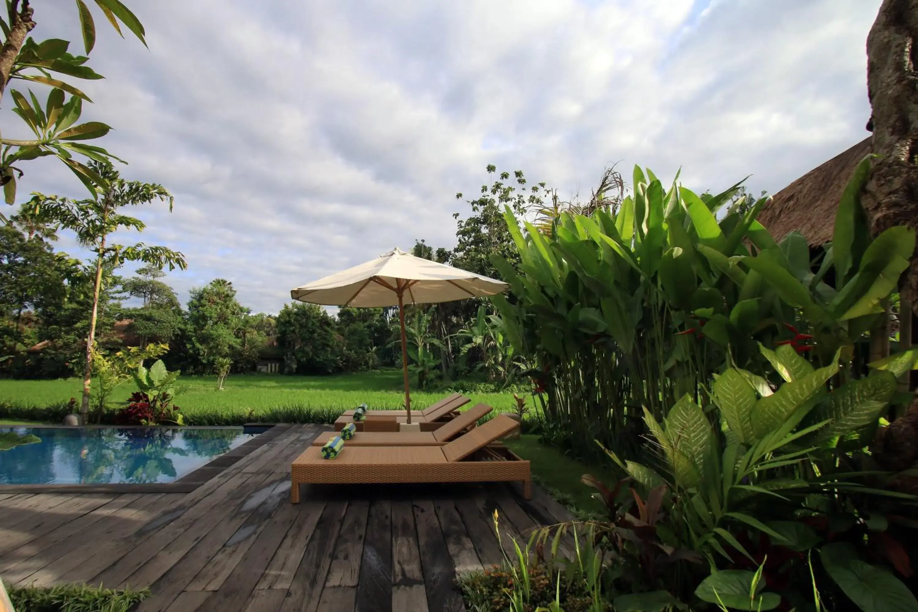 Patio, Swimming Pool in Byasa Ubud Hotel