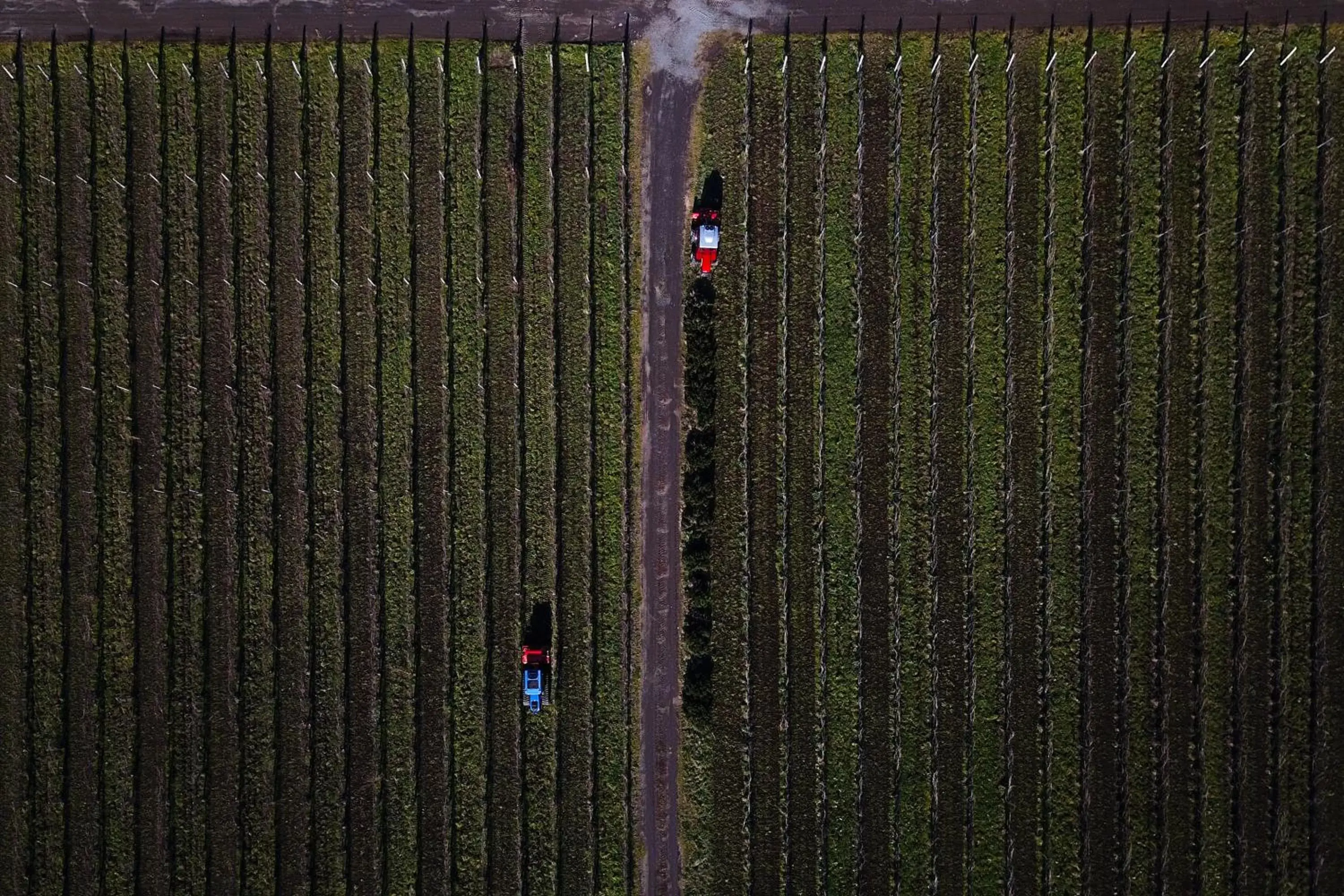 Bird's eye view, Bird's-eye View in Villa Cavalletti Appartamenti