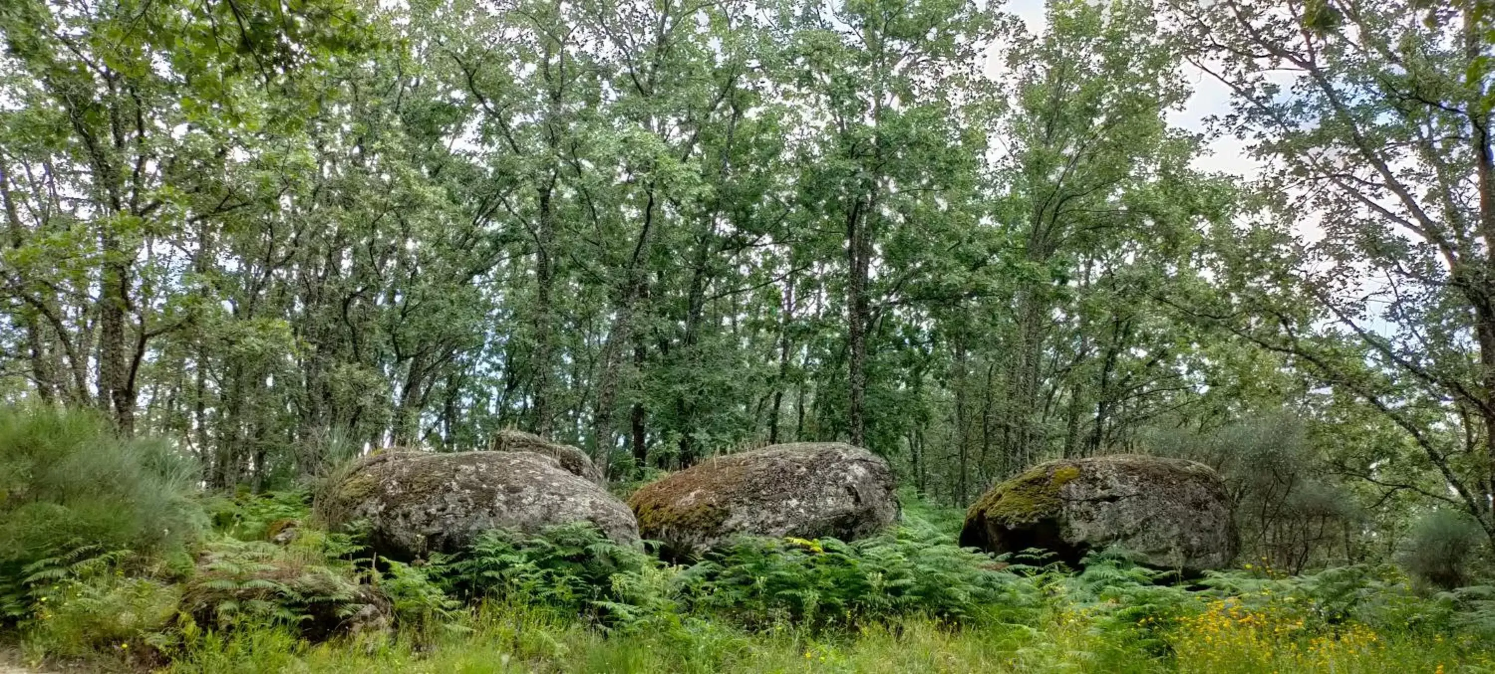 Natural landscape in Hotel Rural San Giles