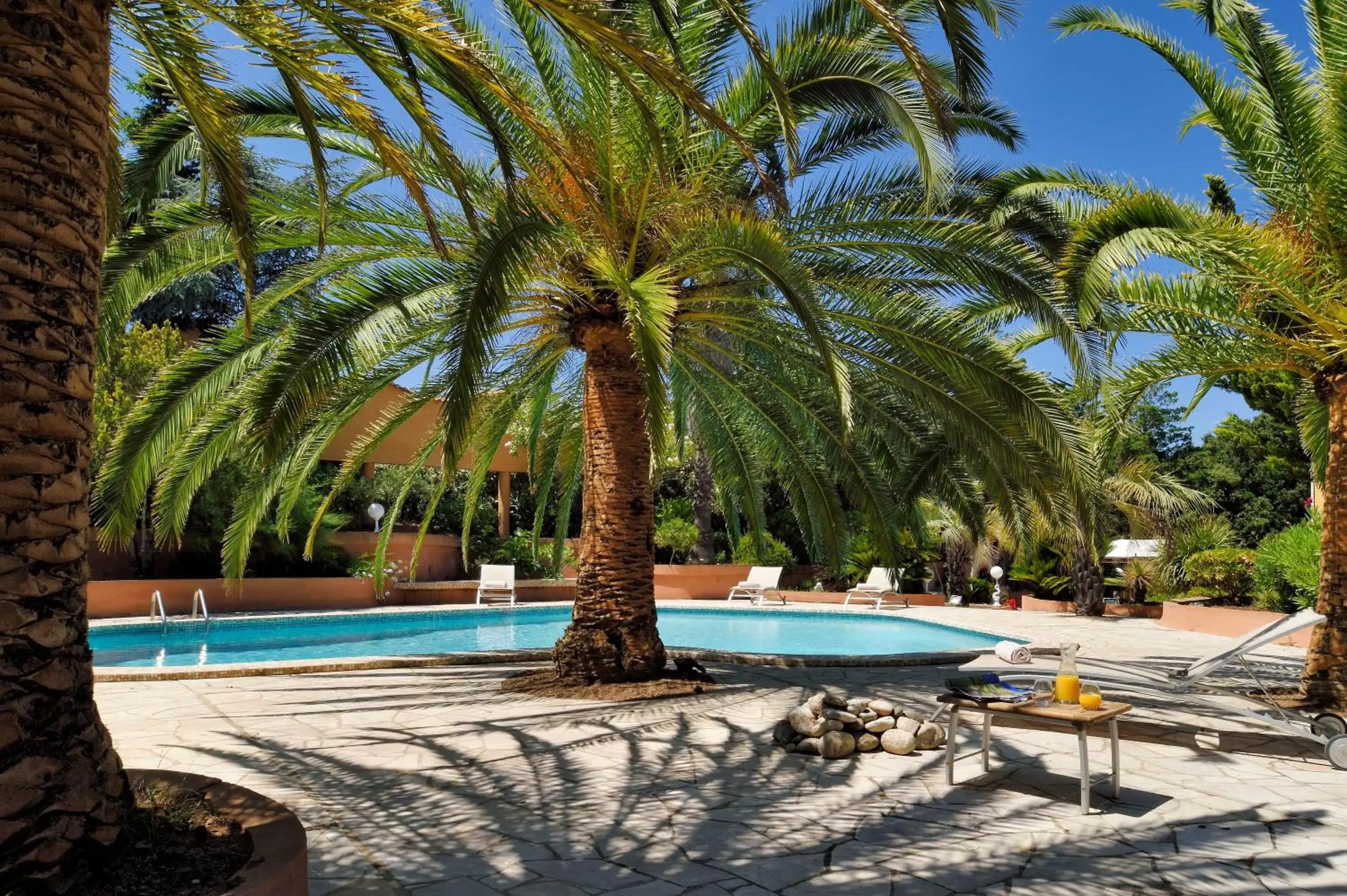 Solarium, Swimming Pool in Hotel Bartaccia