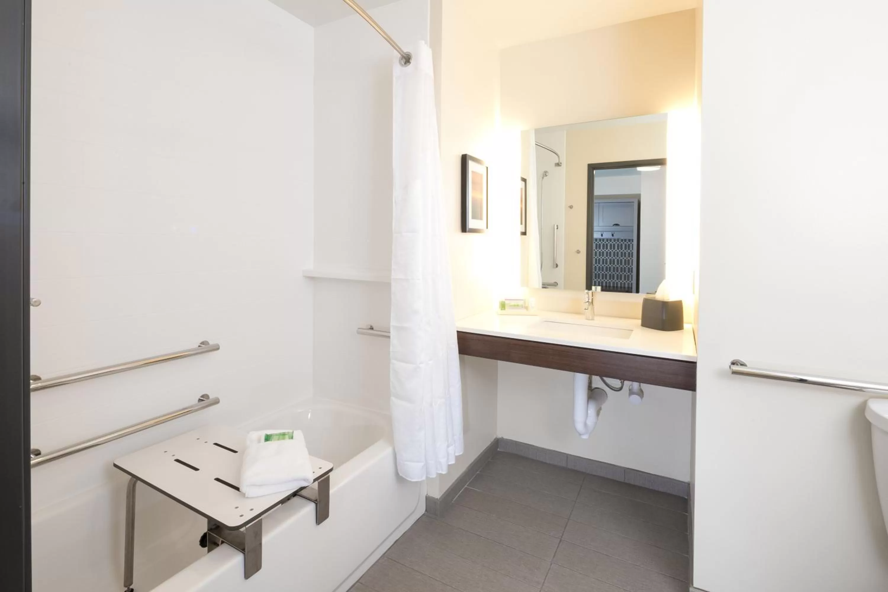 Bathroom in Holiday Inn Hotel & Suites - Mount Pleasant by IHG
