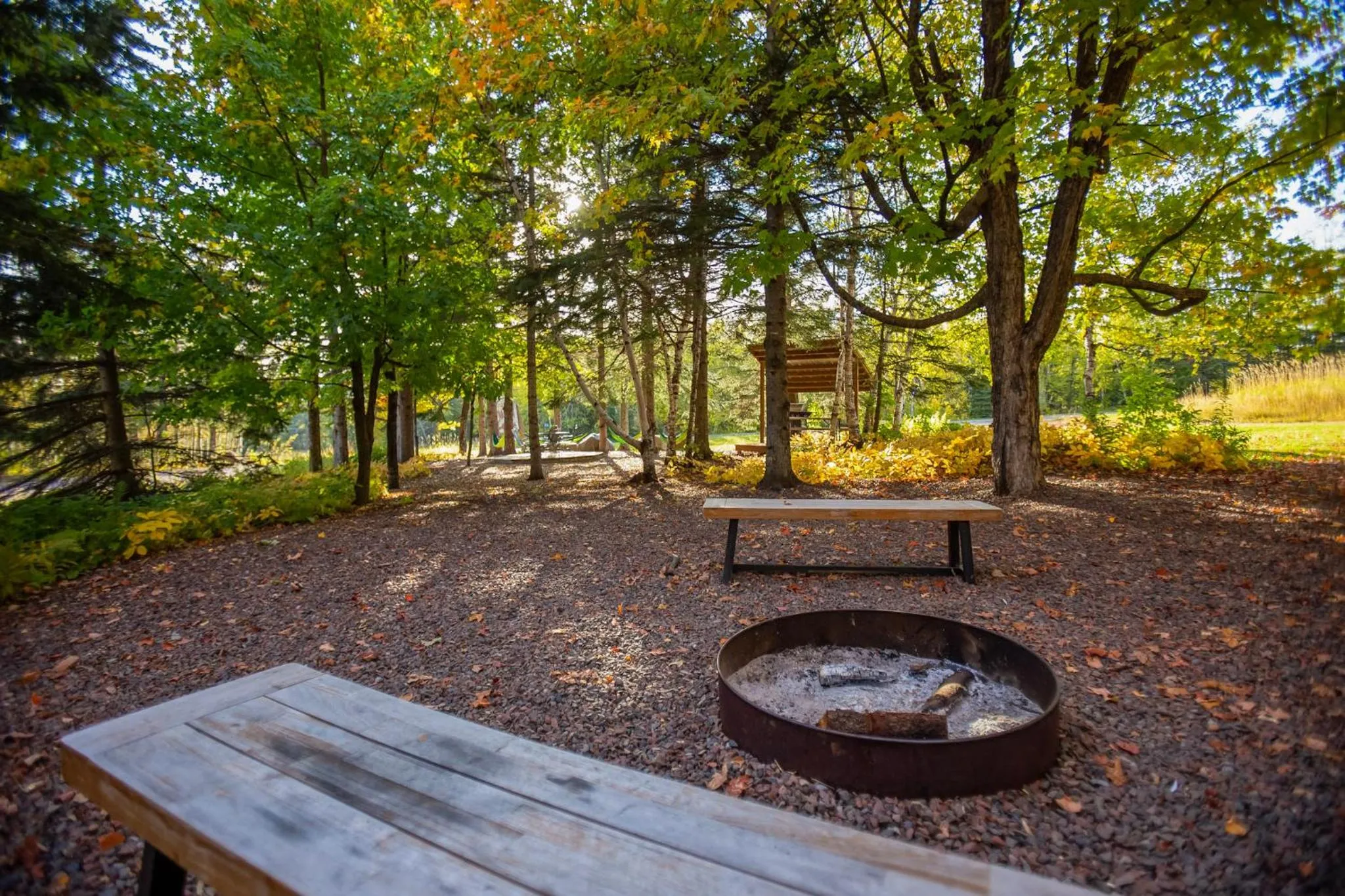 Area and facilities in Mountain Inn at Lutsen