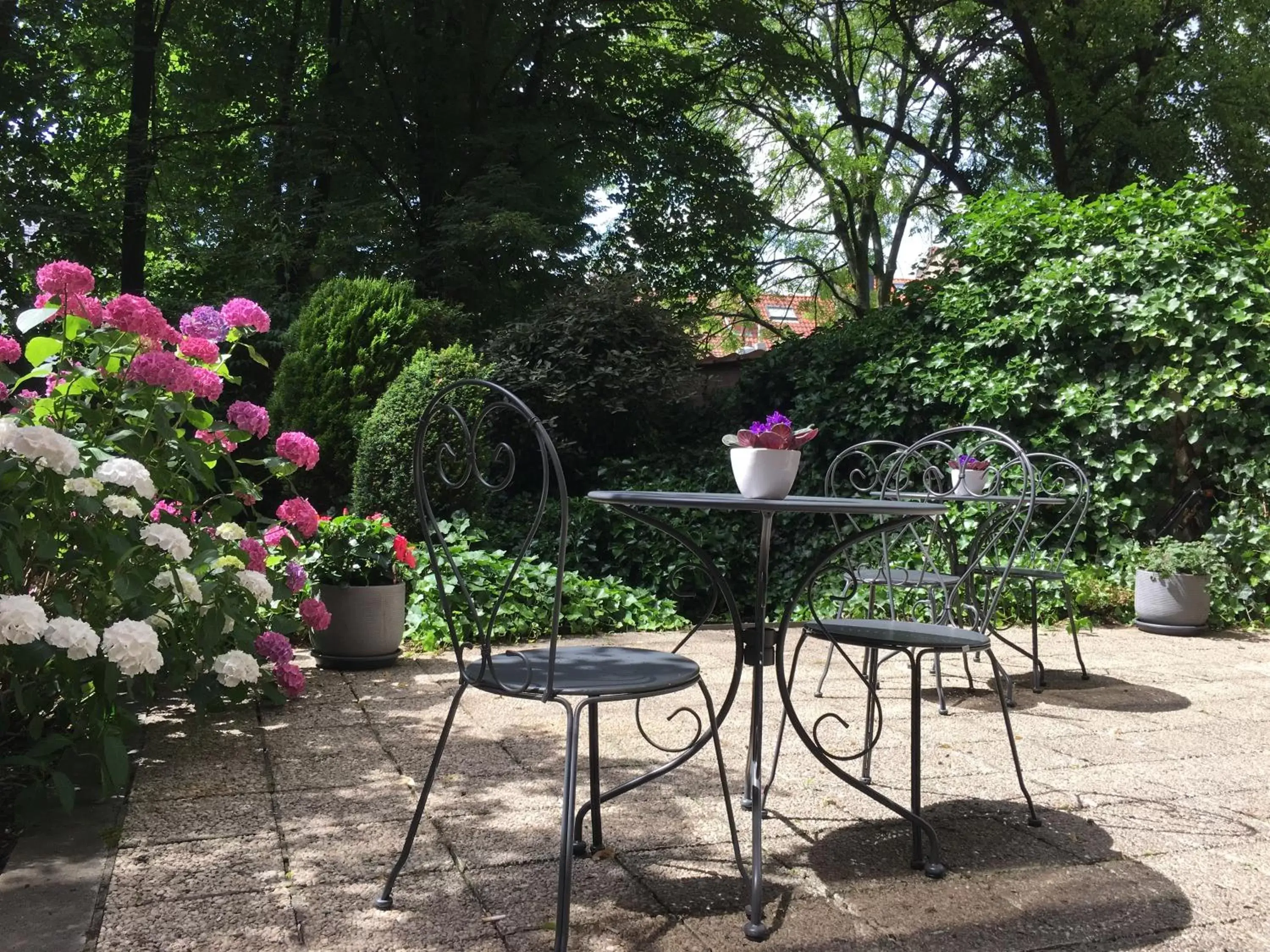 Garden in First Euroflat Hotel