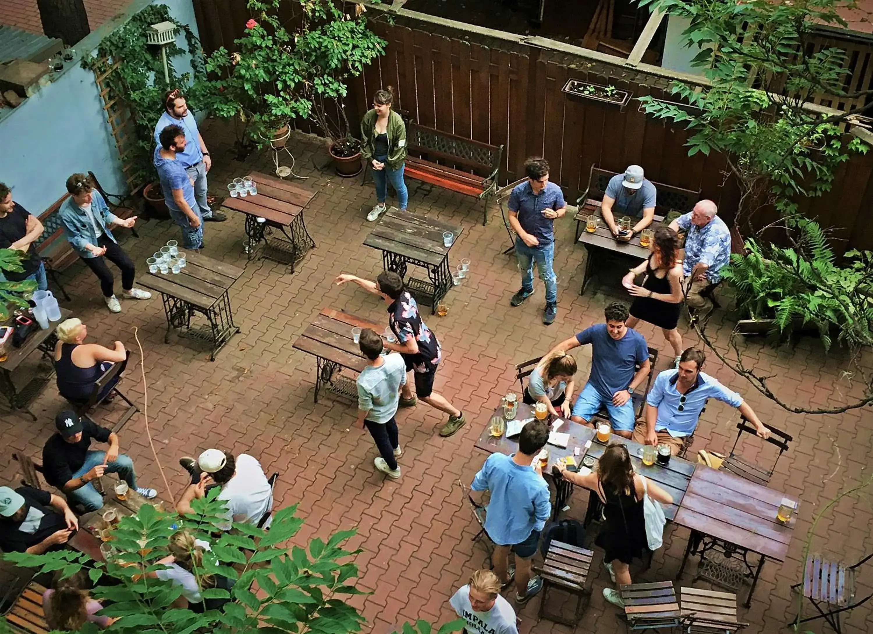 Garden in Sir Toby's Hostel