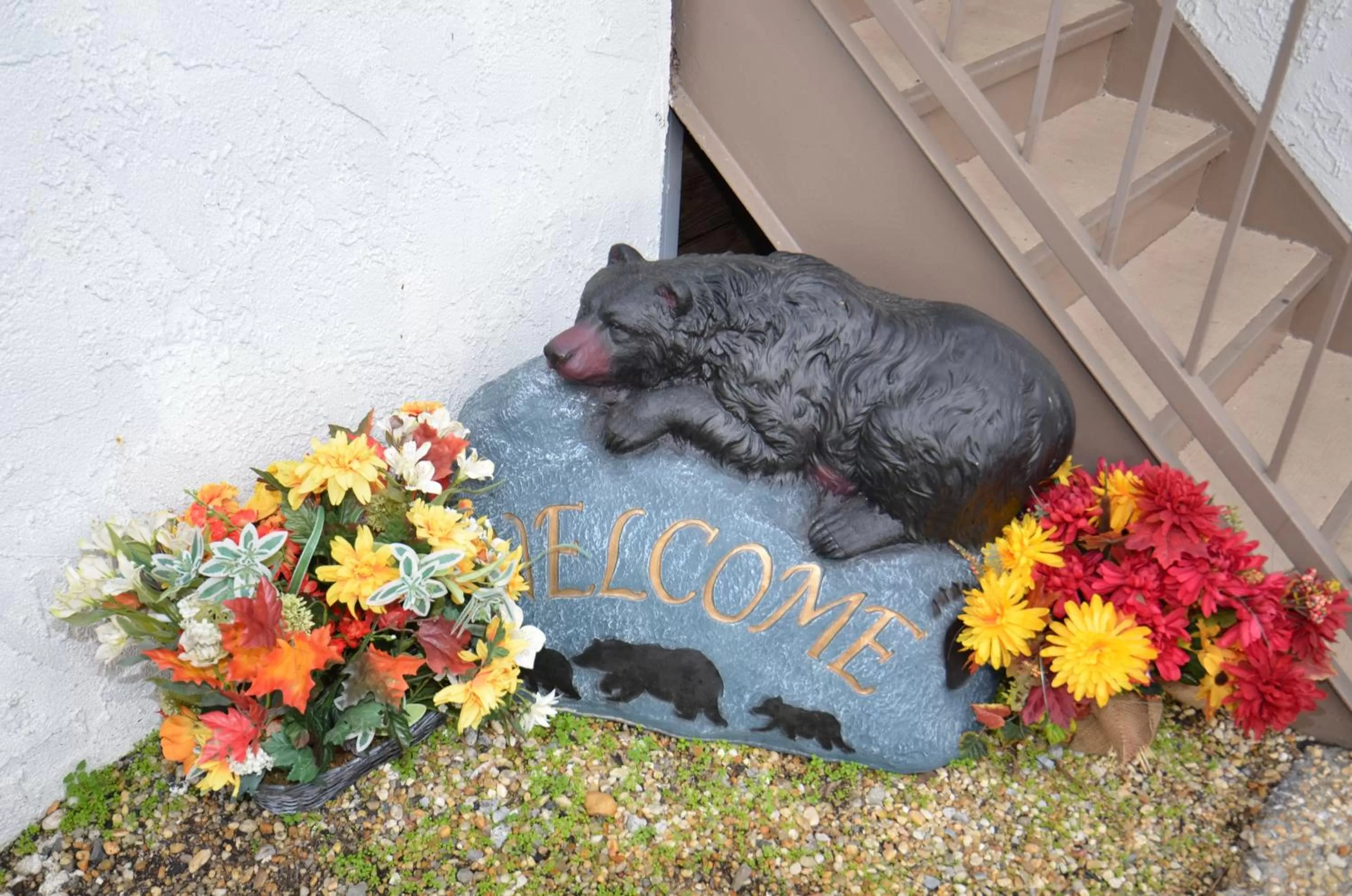 Area and facilities, Pets in Rivergate Mountain Lodge