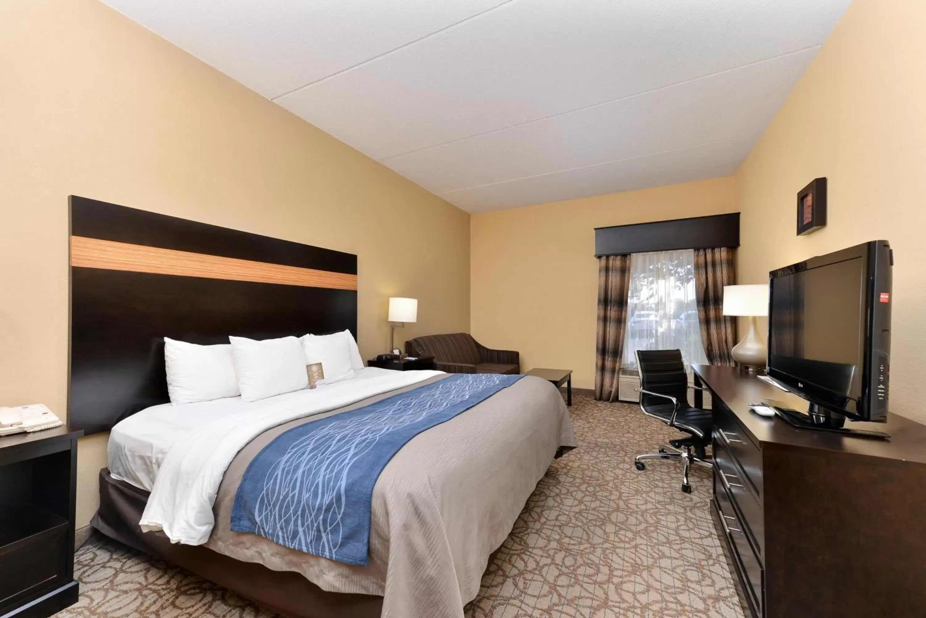 Standard Room, 1 King Bed, Non-Smoking in Comfort Inn & Suites at Stone Mountain