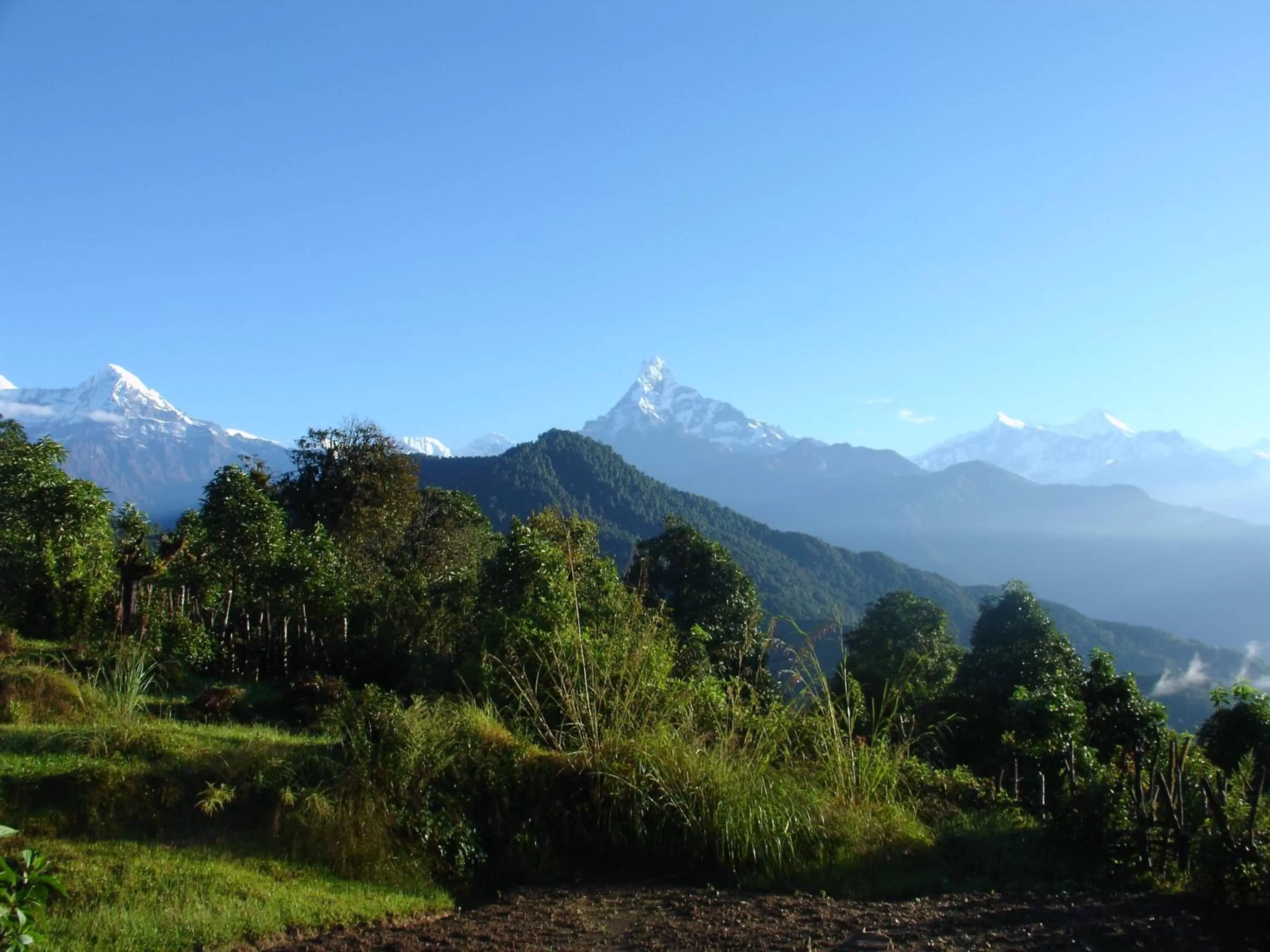 Natural landscape in The North Face Inn