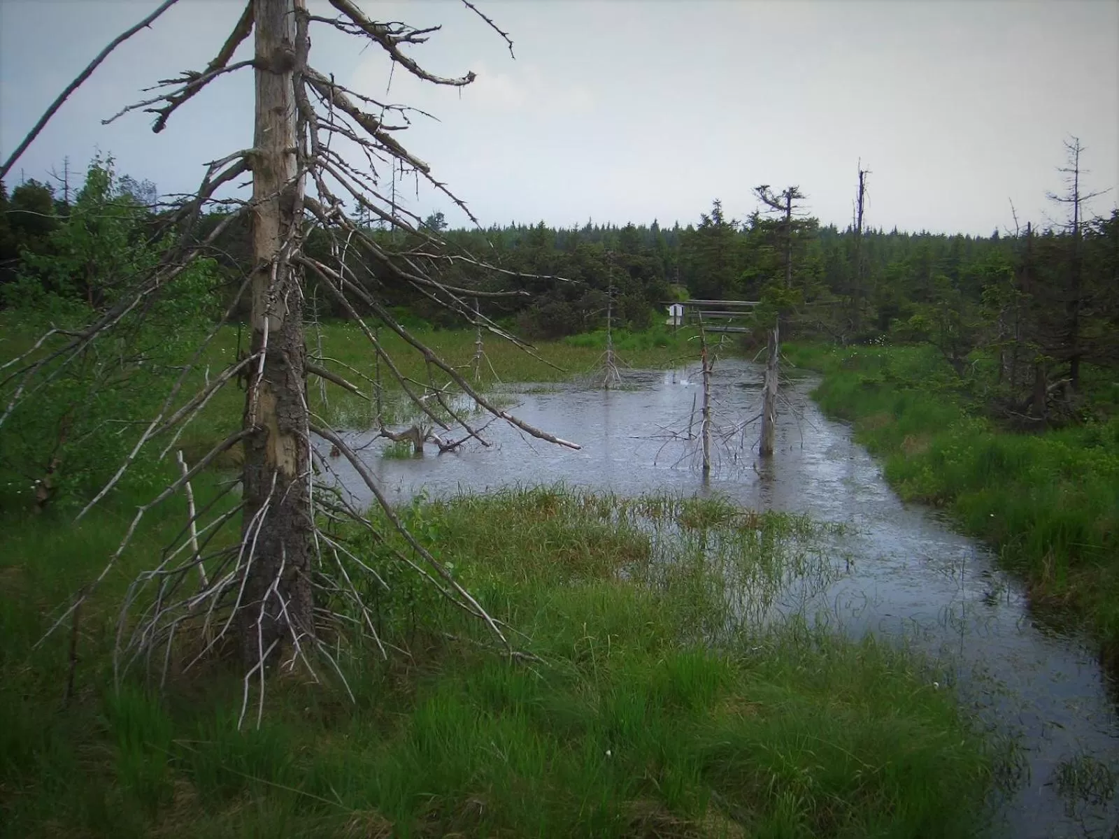 Nearby landmark in Hotel Lugsteinhof